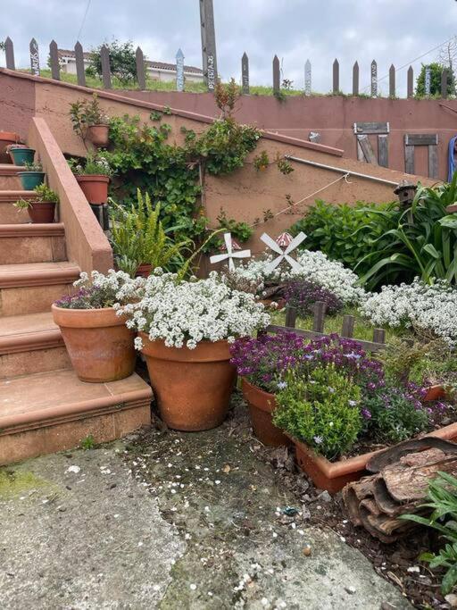 Apartamentos Rovi