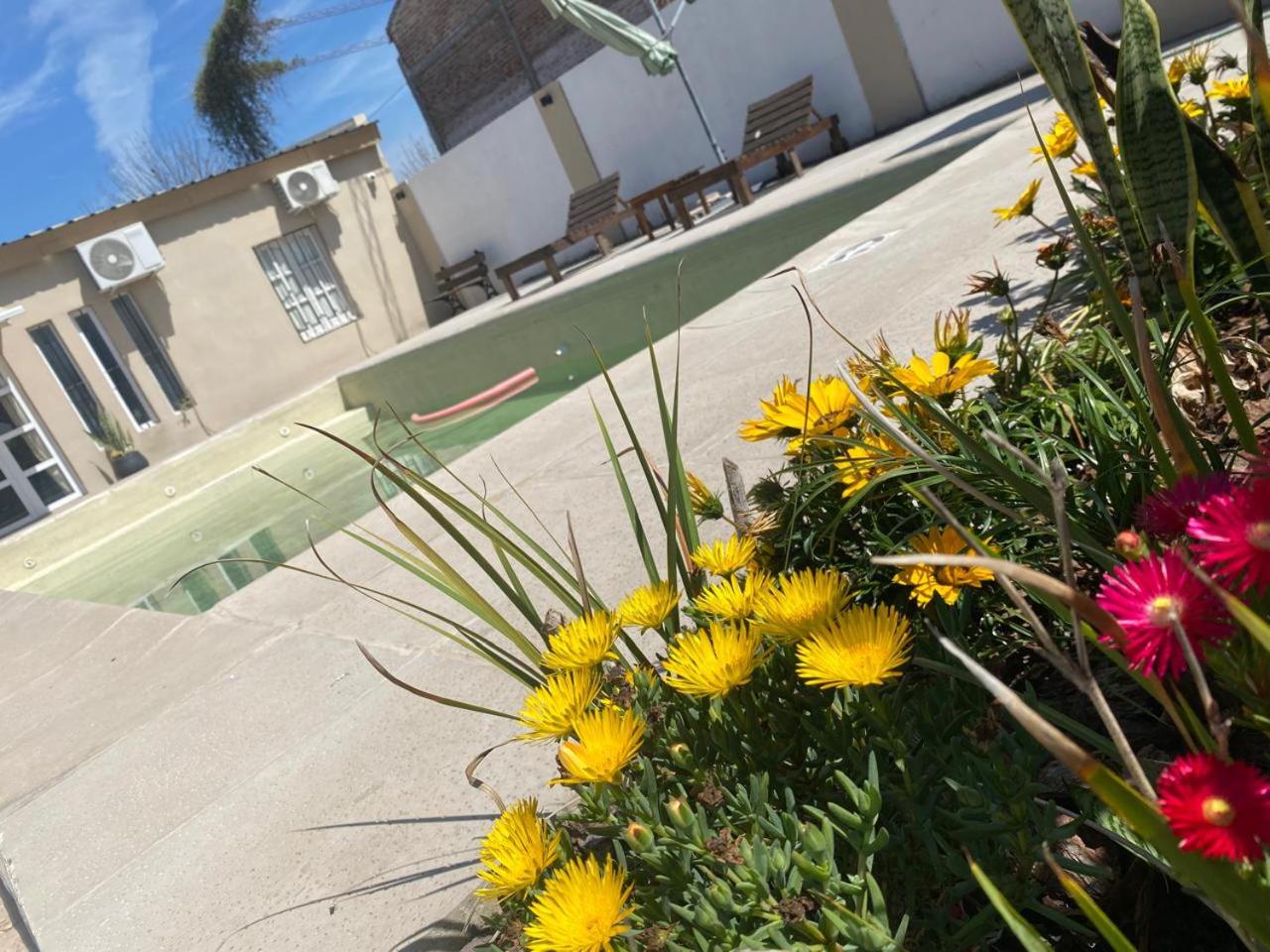 Caralíhome