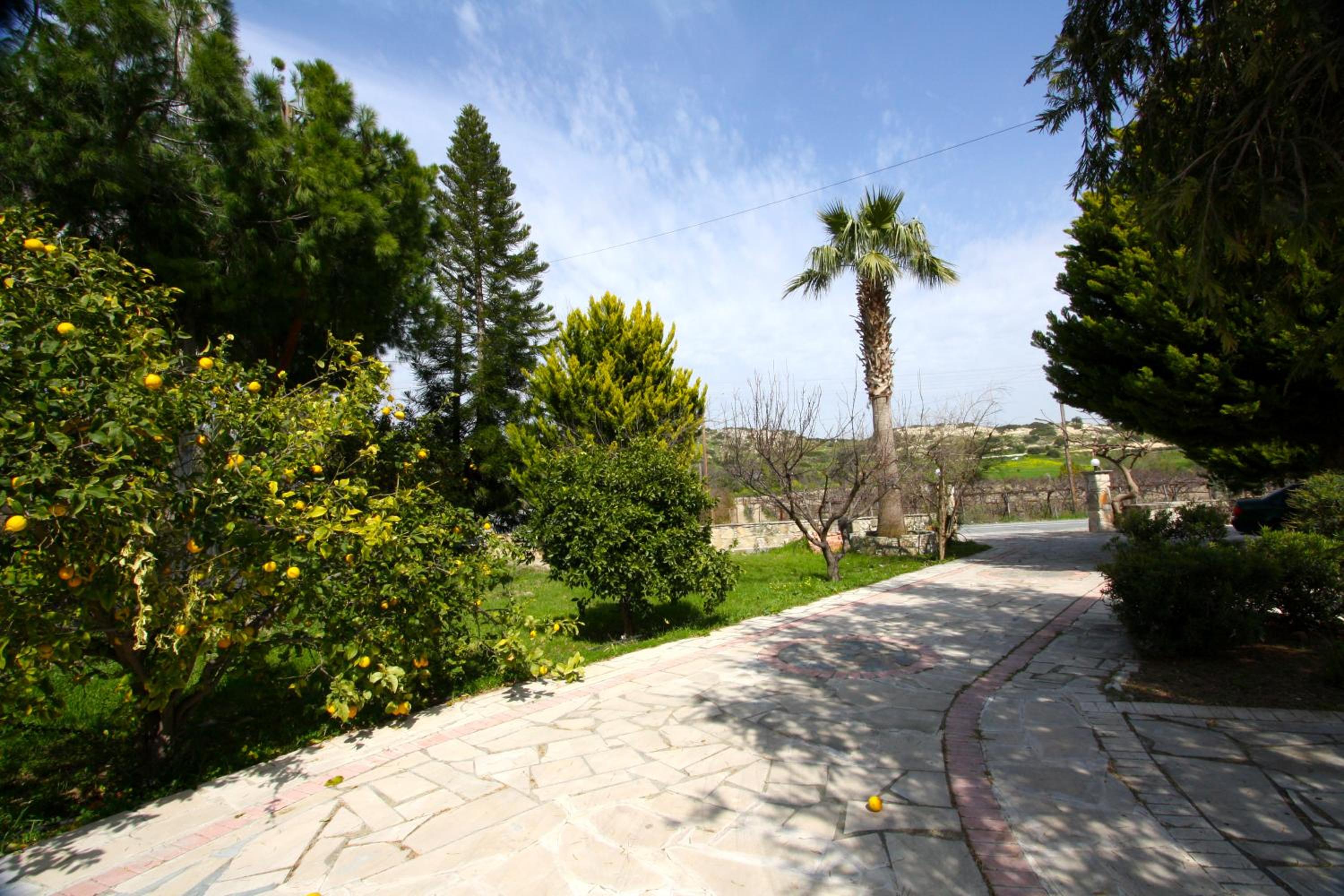 Photo 21