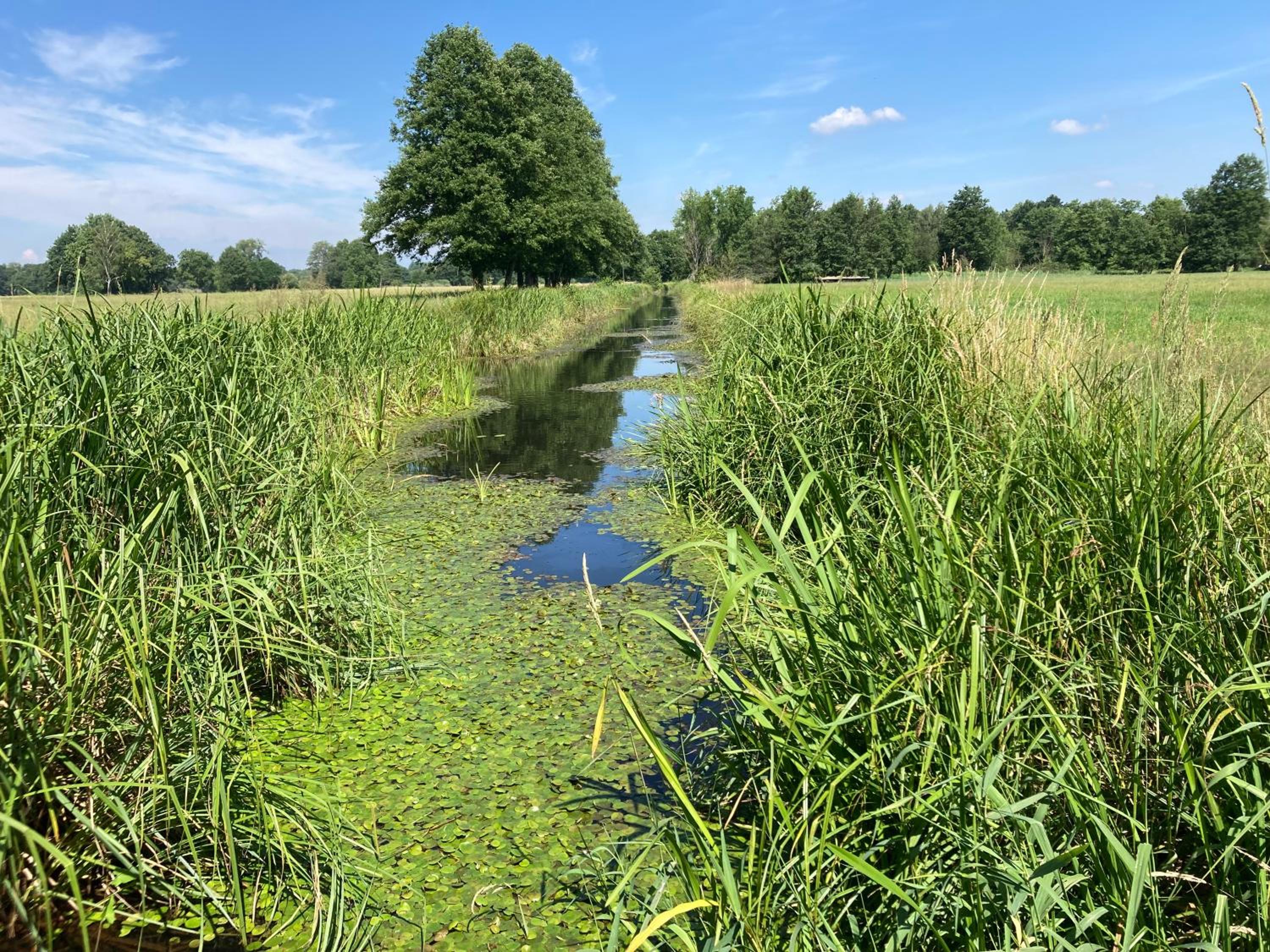 Ferienloft Libela Straupitz im Spreewald