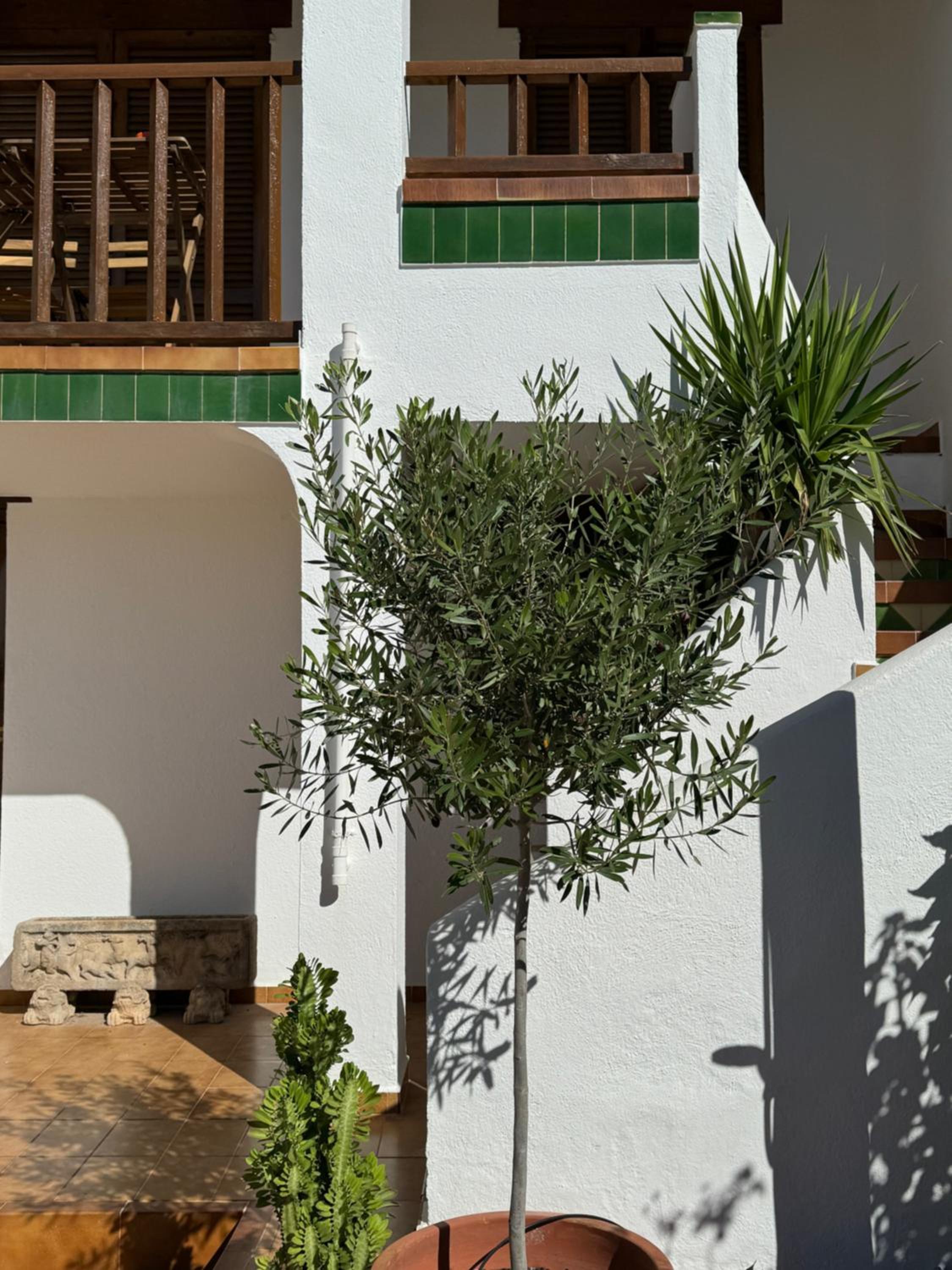 Espectacular Sunny House in the beach