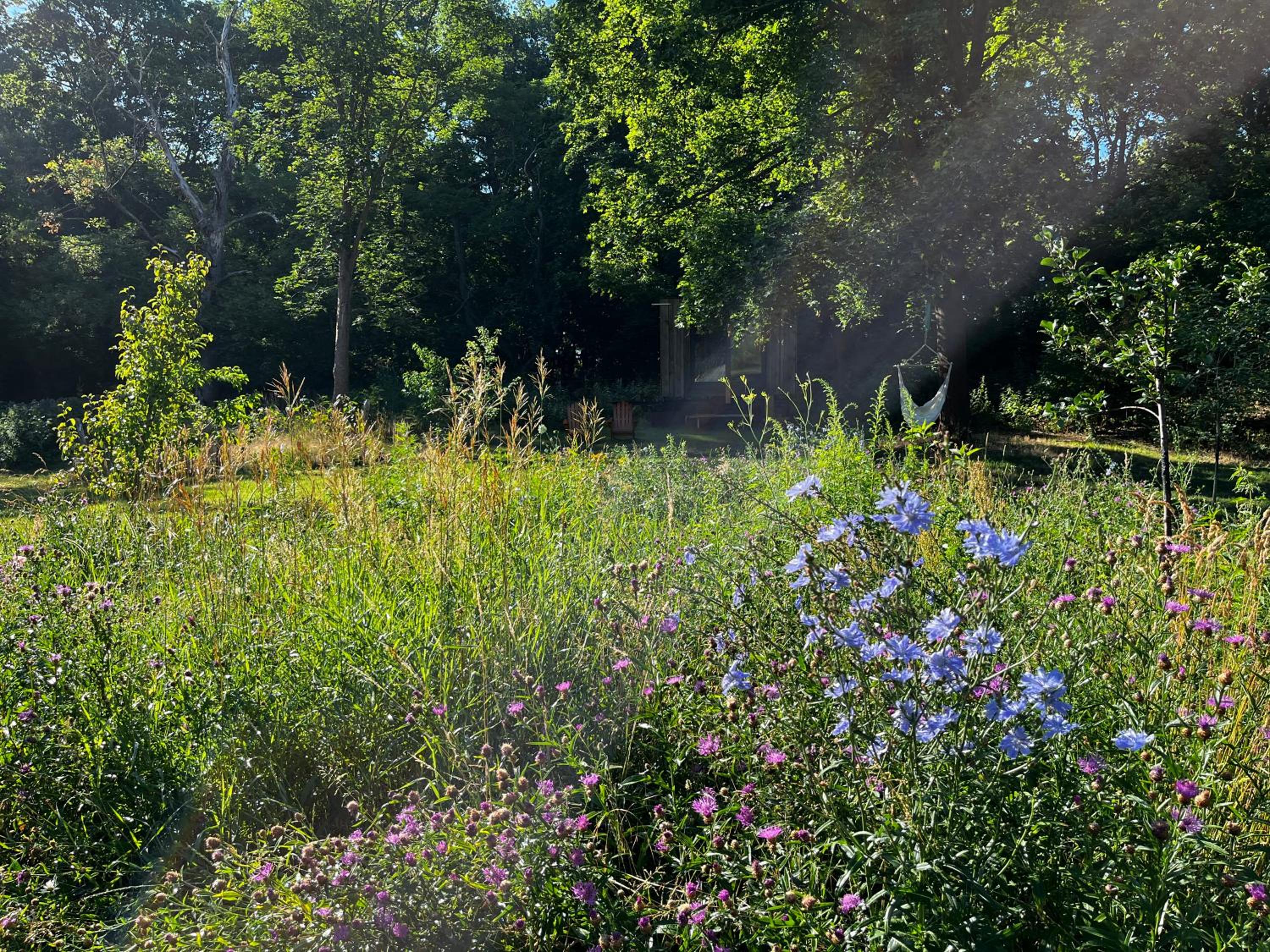 Ferienloft Libela Straupitz im Spreewald