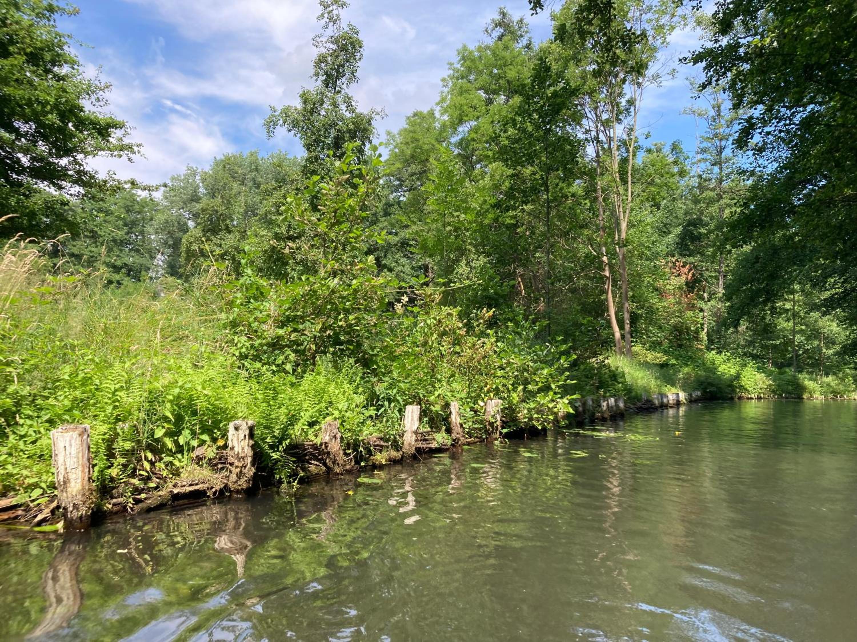 Ferienloft Libela Straupitz im Spreewald