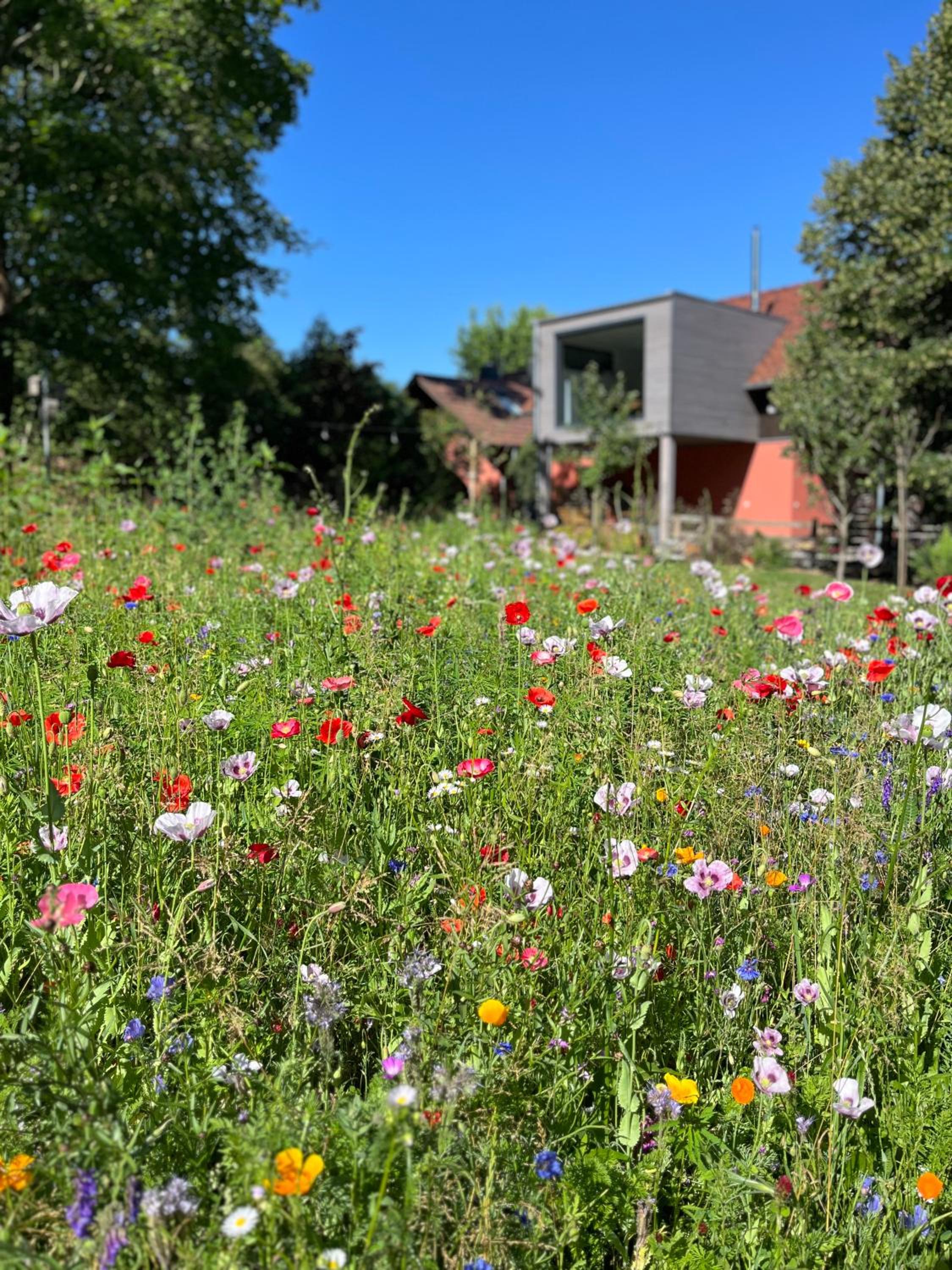 Ferienloft Libela Straupitz im Spreewald