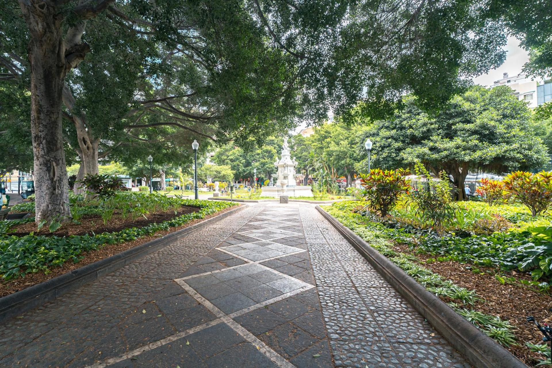 Apartamento centro Ciudad