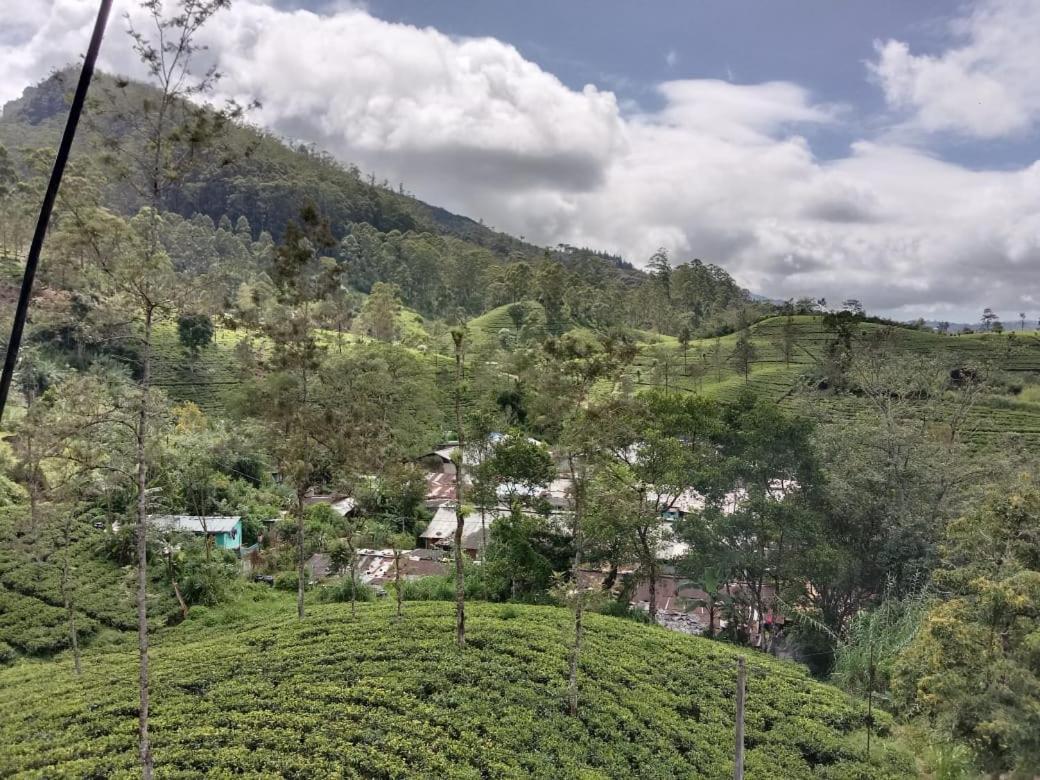 Shane HomeStay