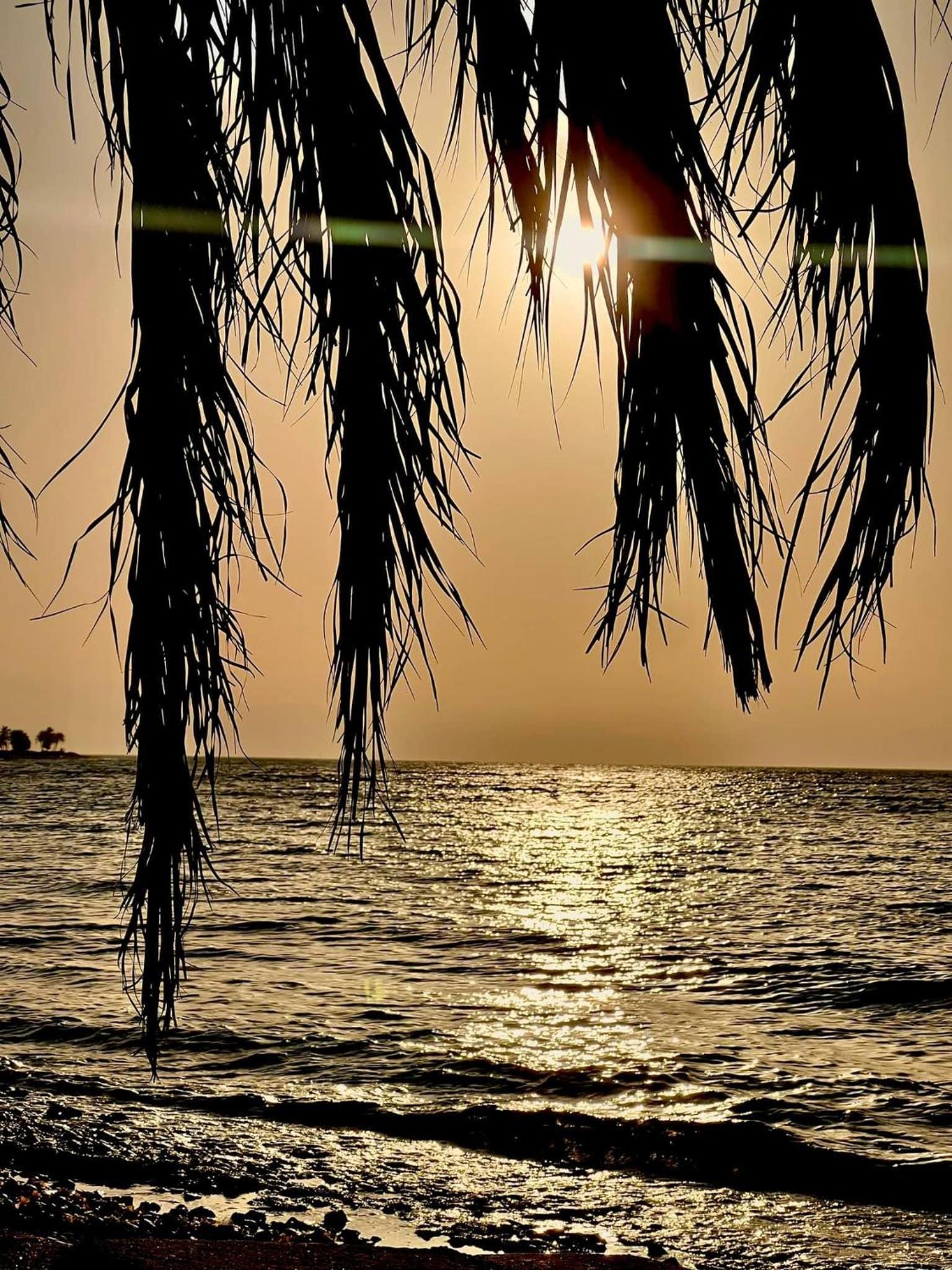 Sunny Dahab Resort Executive Chalet