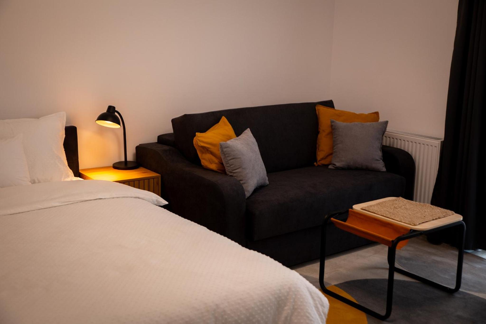 Cozy Studio Sanpetru