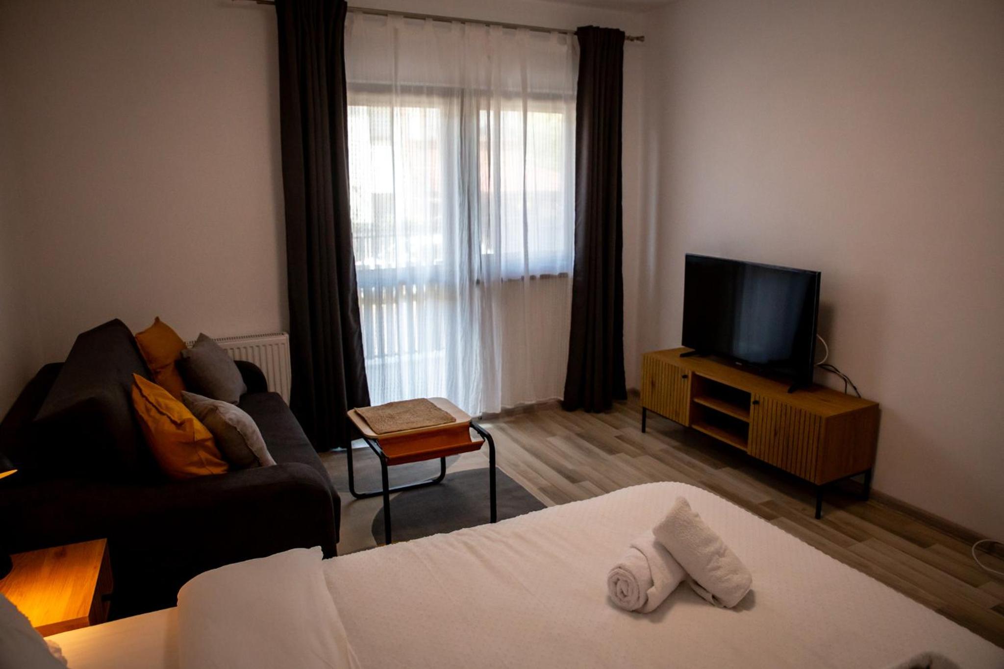 Cozy Studio Sanpetru