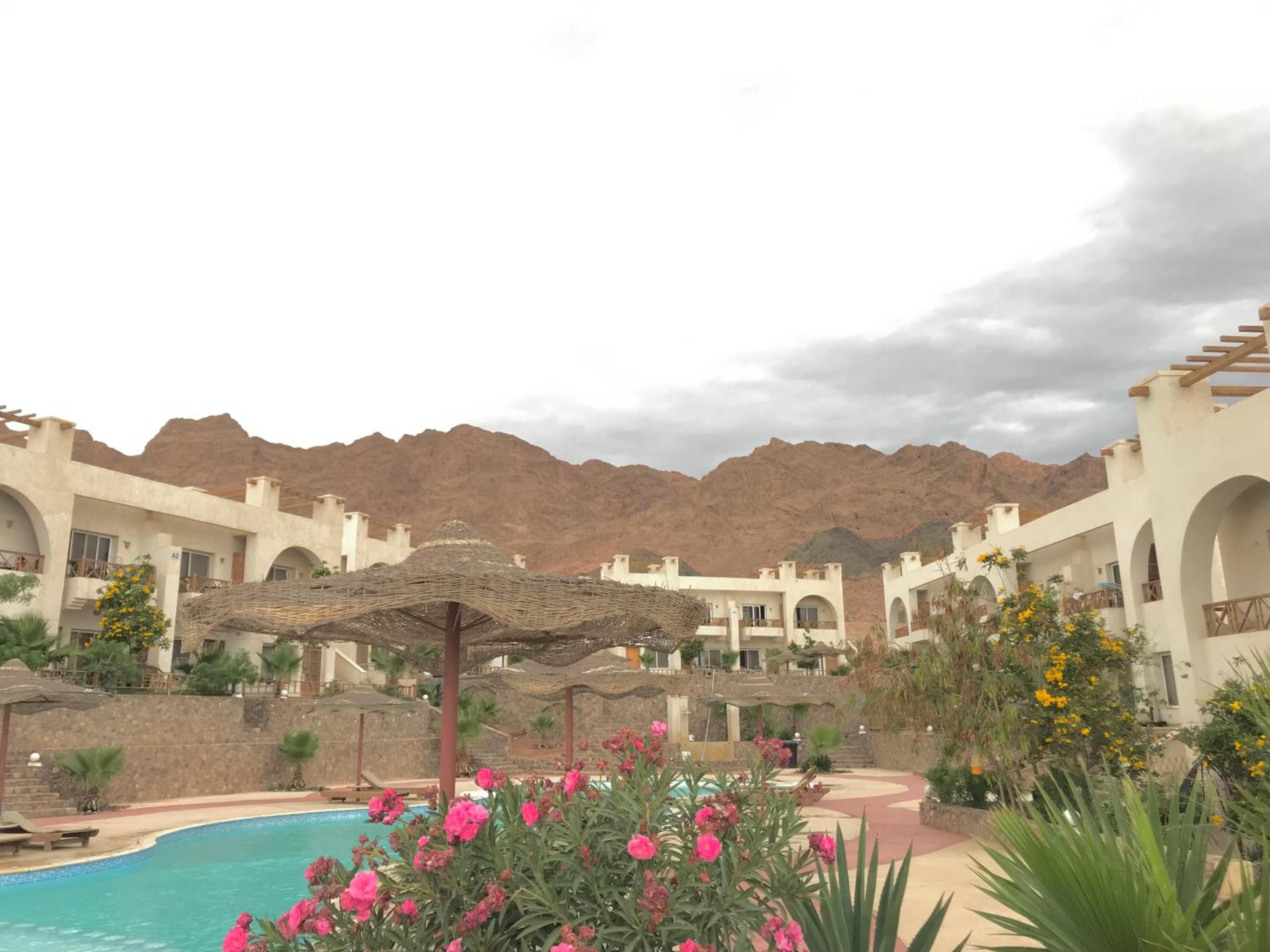 Sunny Dahab Resort Executive Chalet