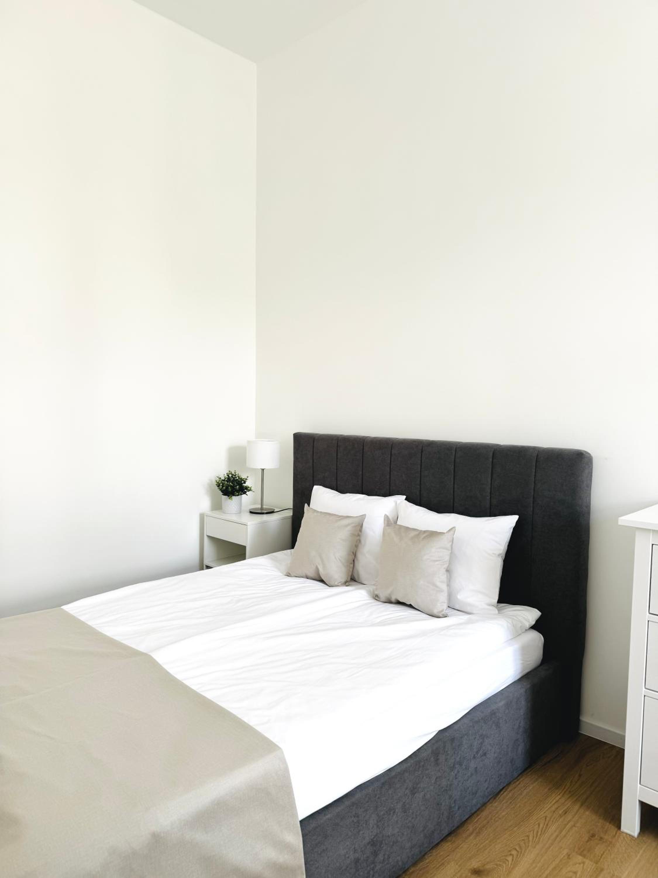 Apartman Namesti Miru