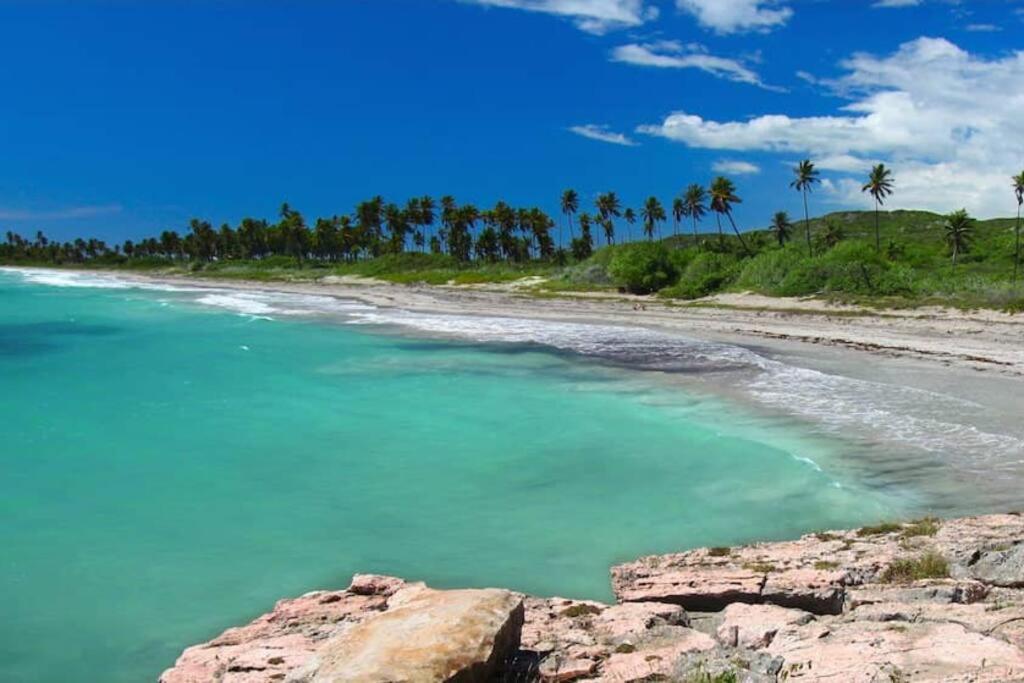 Vista Mare 101-Lovely rental close to Playa Santa view 4