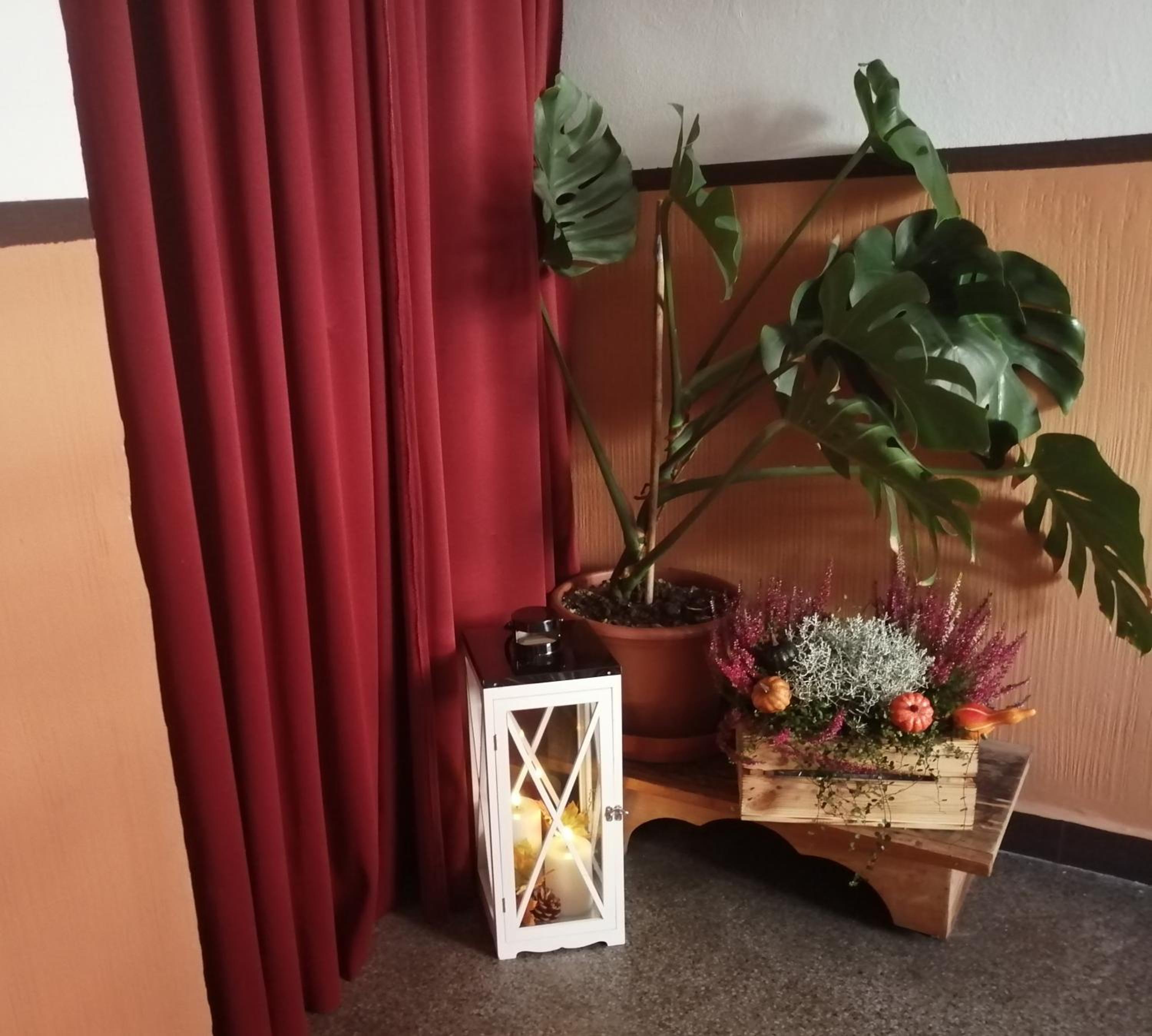 Apartman Deluxe Cheb
