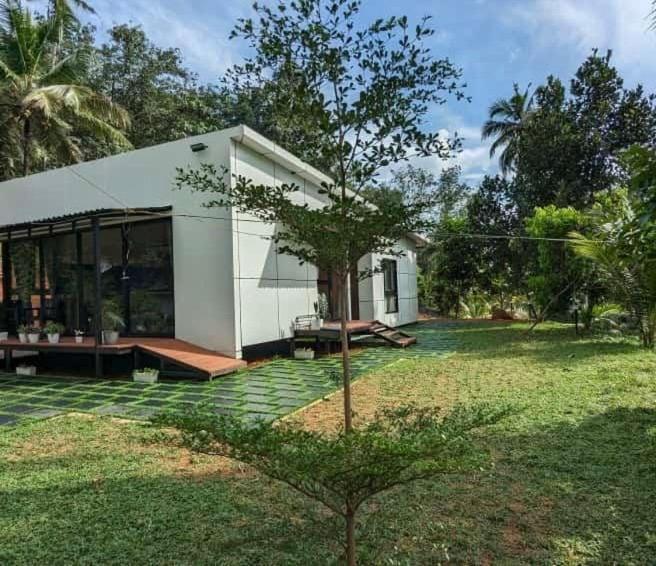 Ginger Villa Farmstay, Thodupuzha view 3
