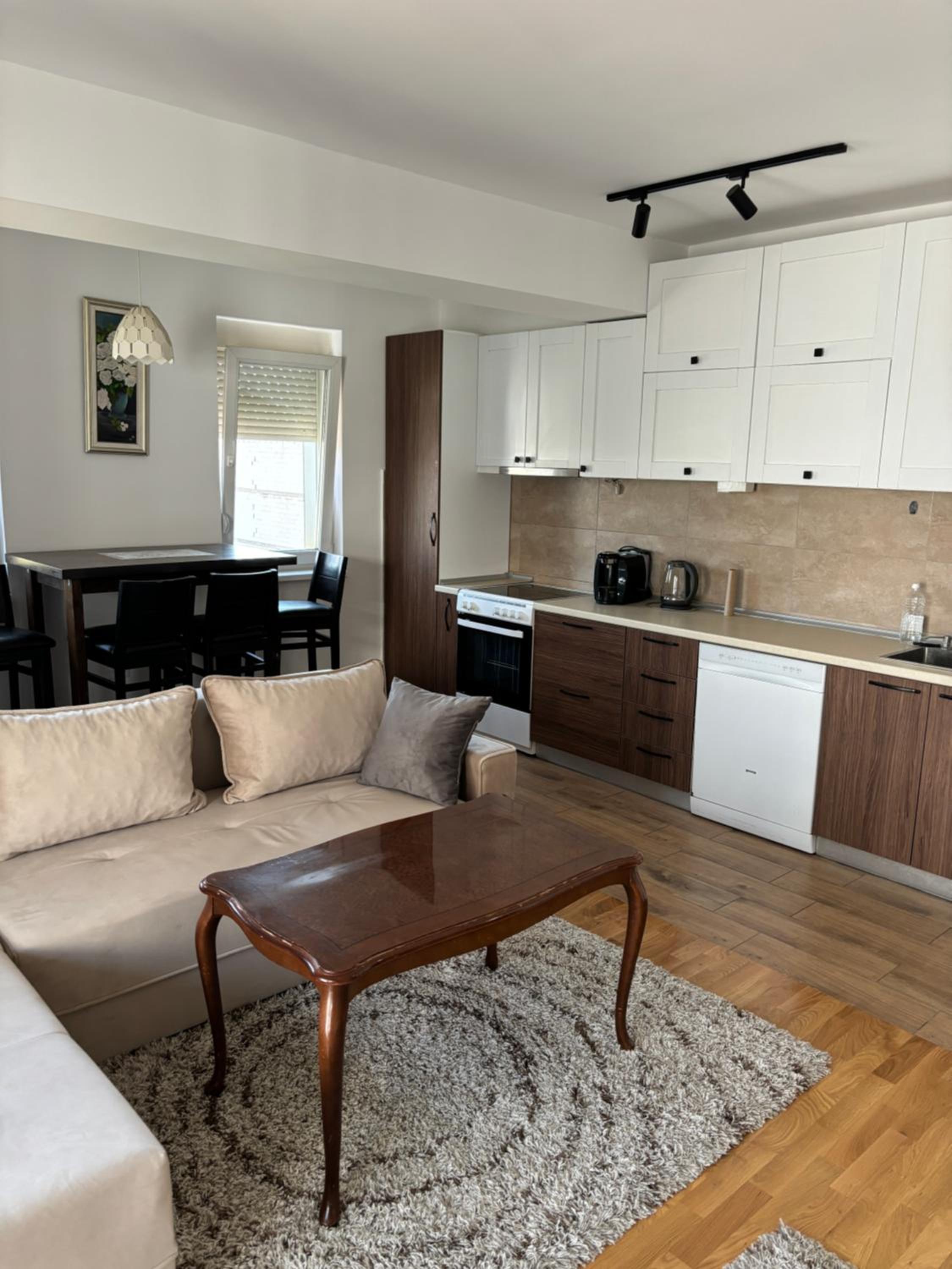 Cozy Apartment Near Skopje Center view 5