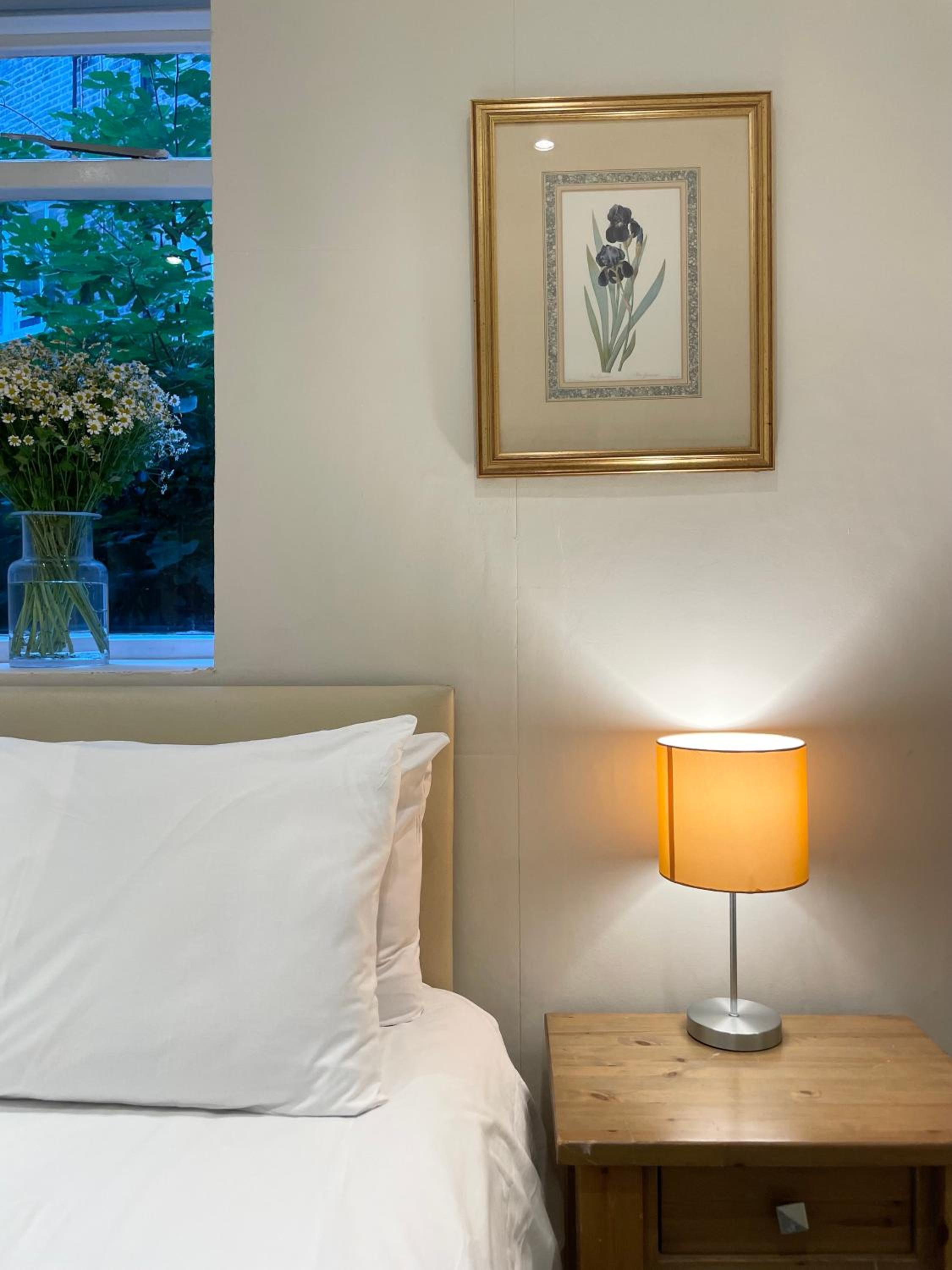 Pimlico Apartment