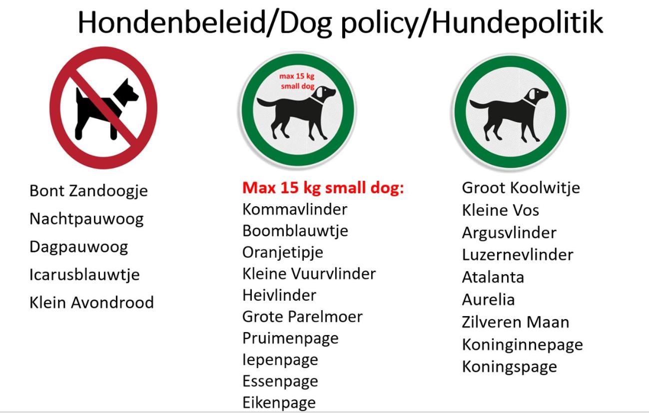 De Vlindertuin