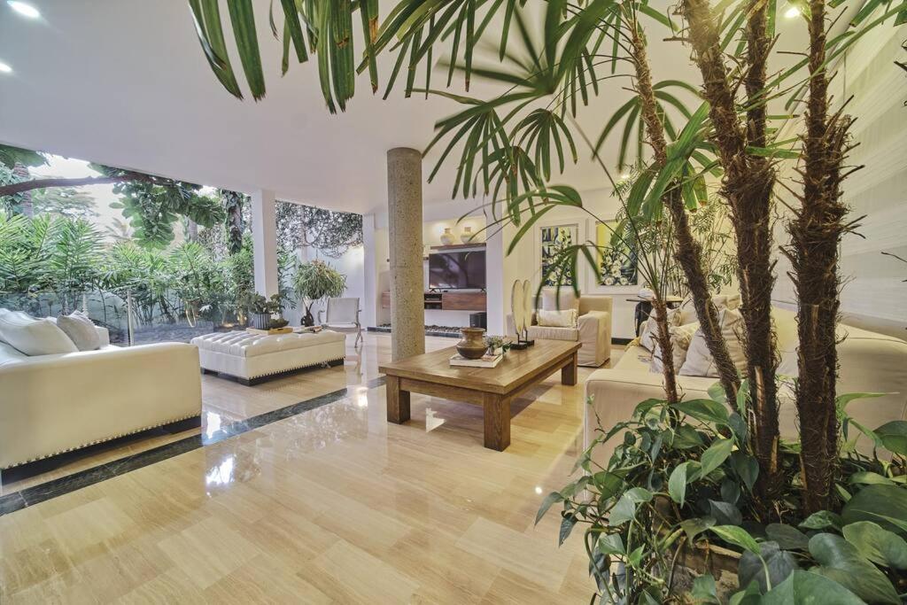 Palms retreat