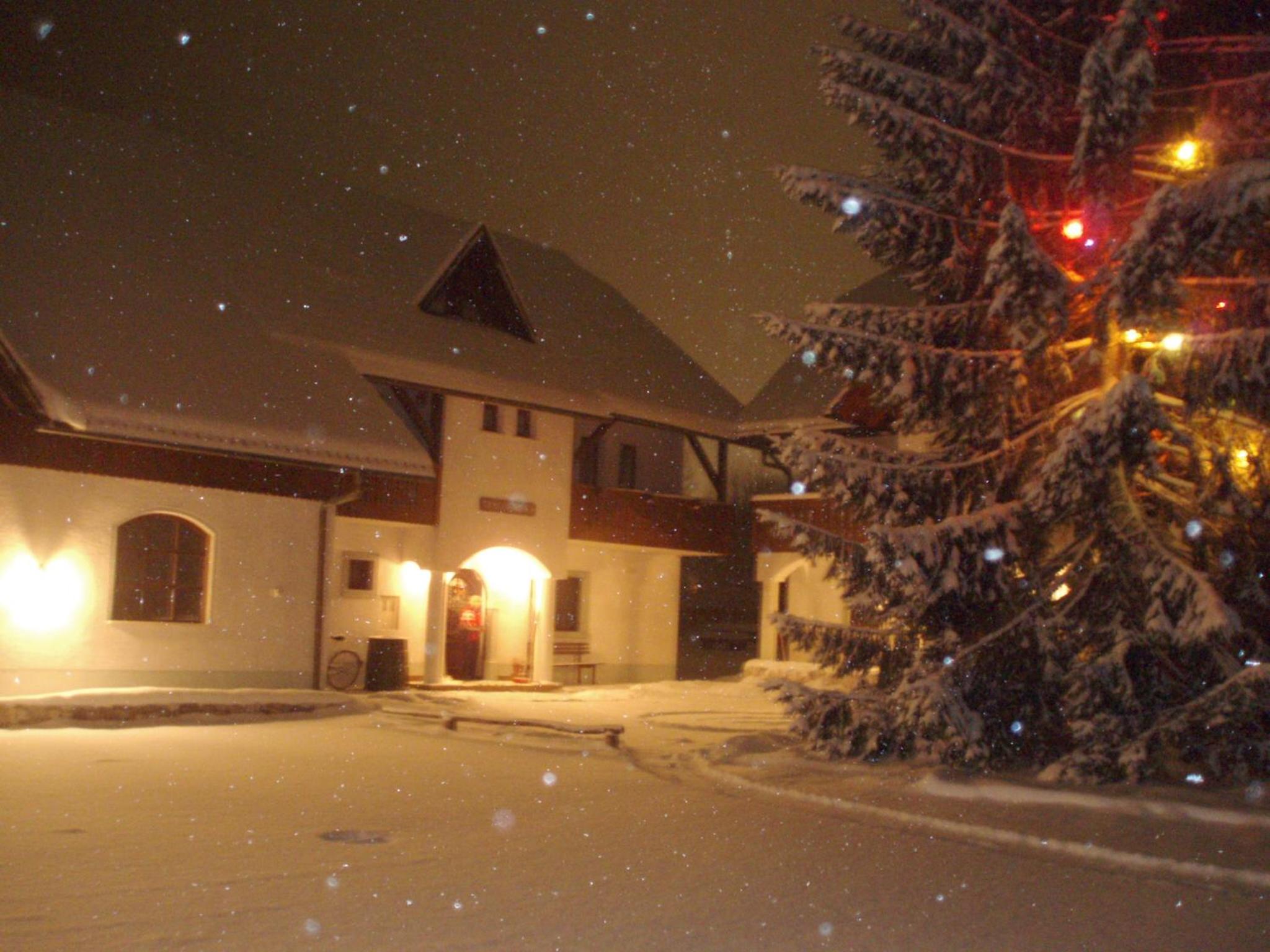 Photo 43