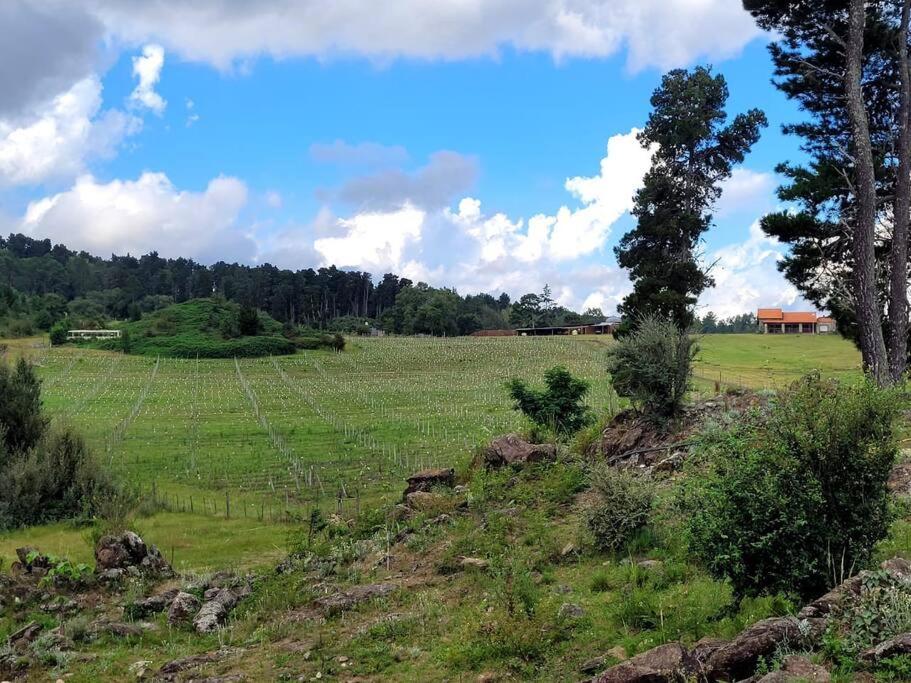 BORDERÍO Cabaña de Montaña