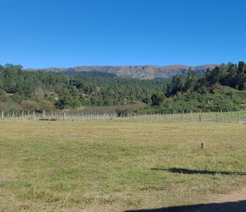 BORDERÍO Cabaña de Montaña
