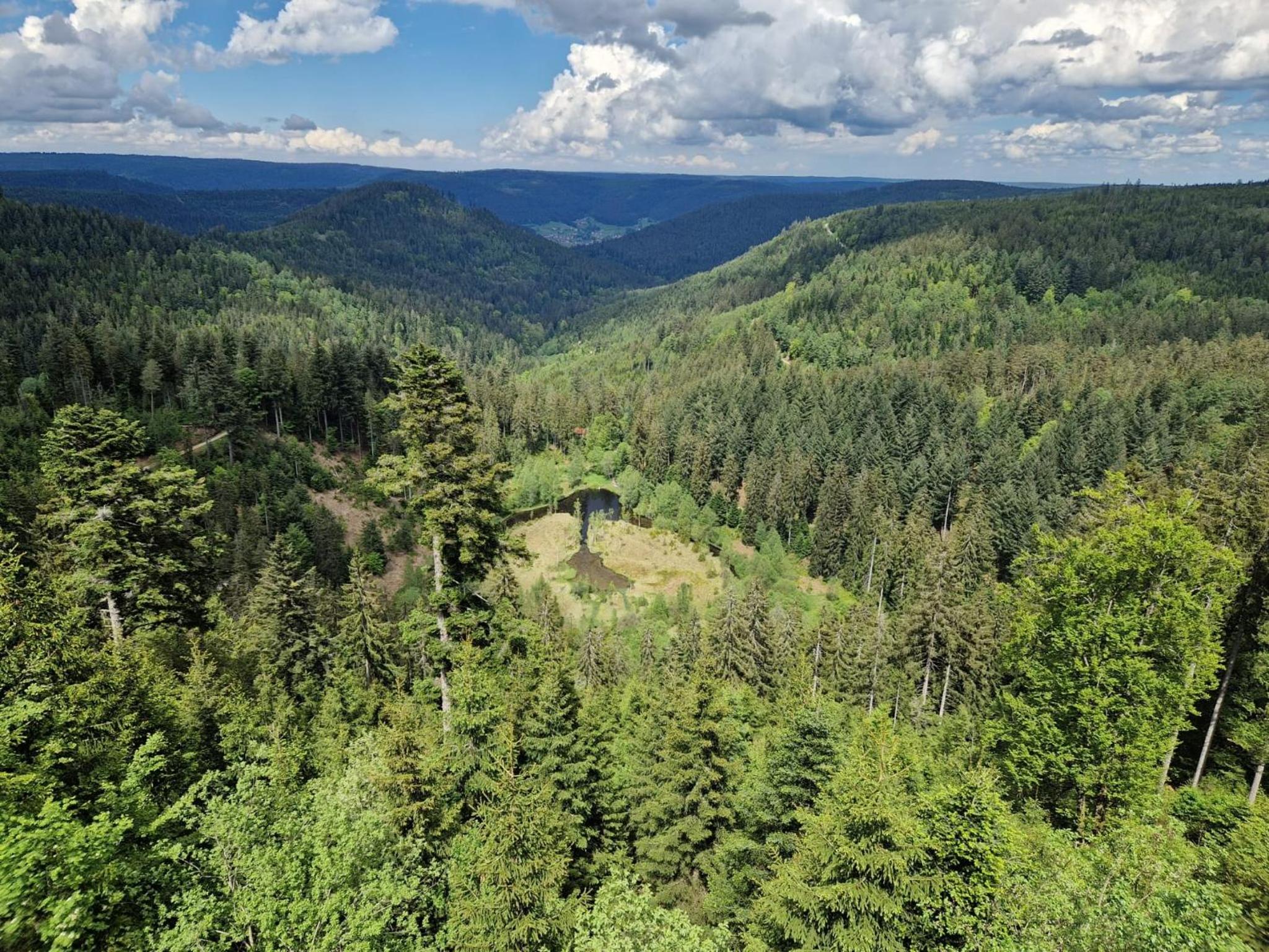 Ferienwohnungen Nordschwarzwald