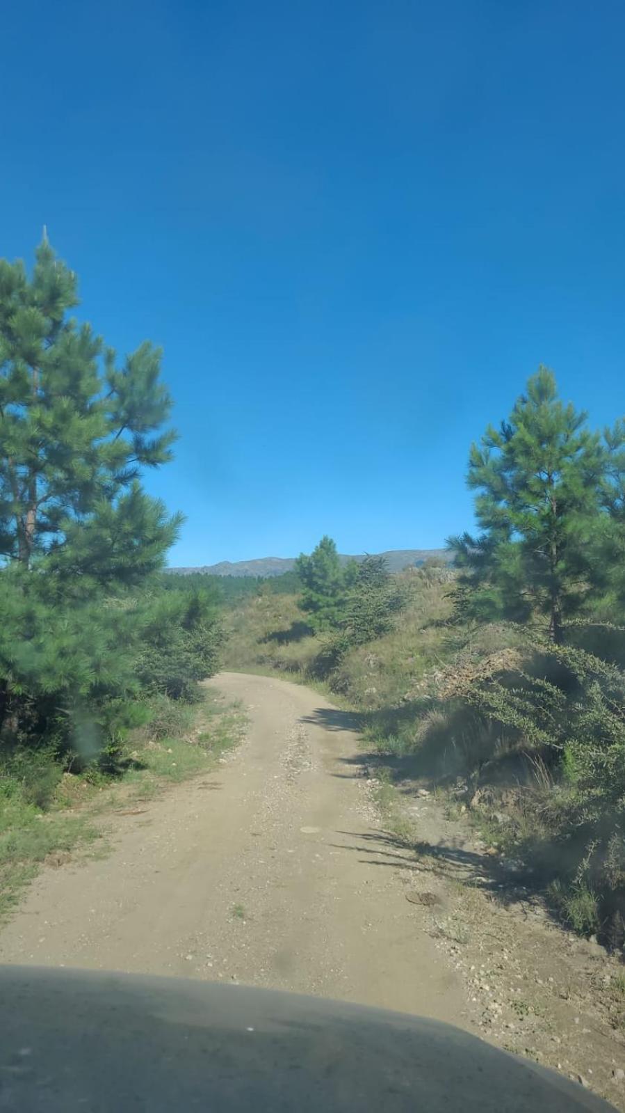 BORDERÍO Cabaña de Montaña