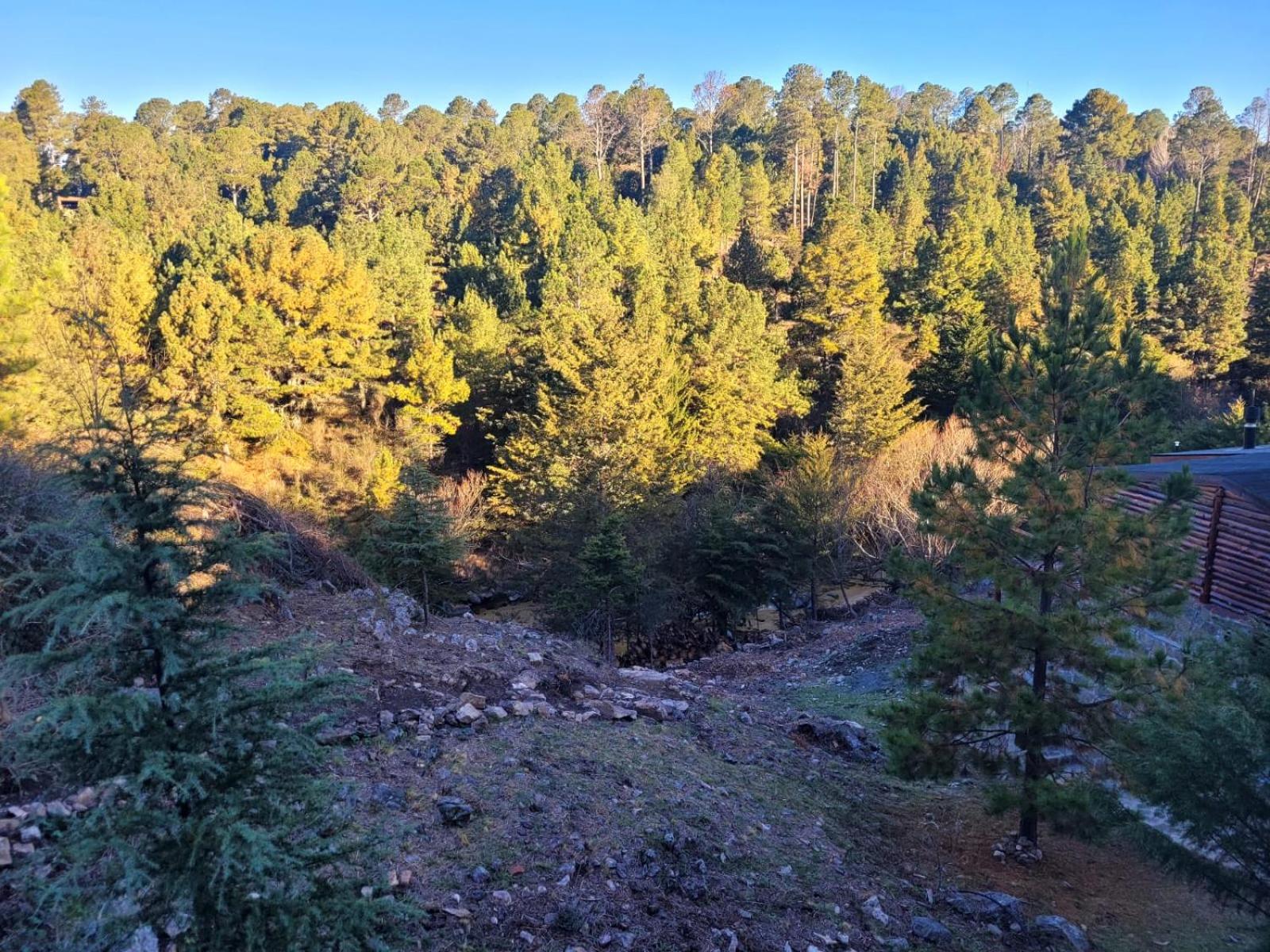 BORDERÍO Cabaña de Montaña