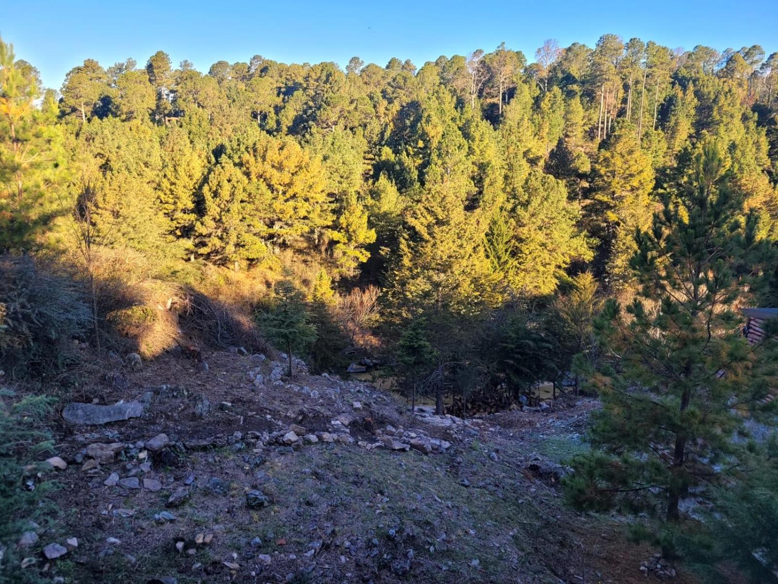 BORDERÍO Cabaña de Montaña