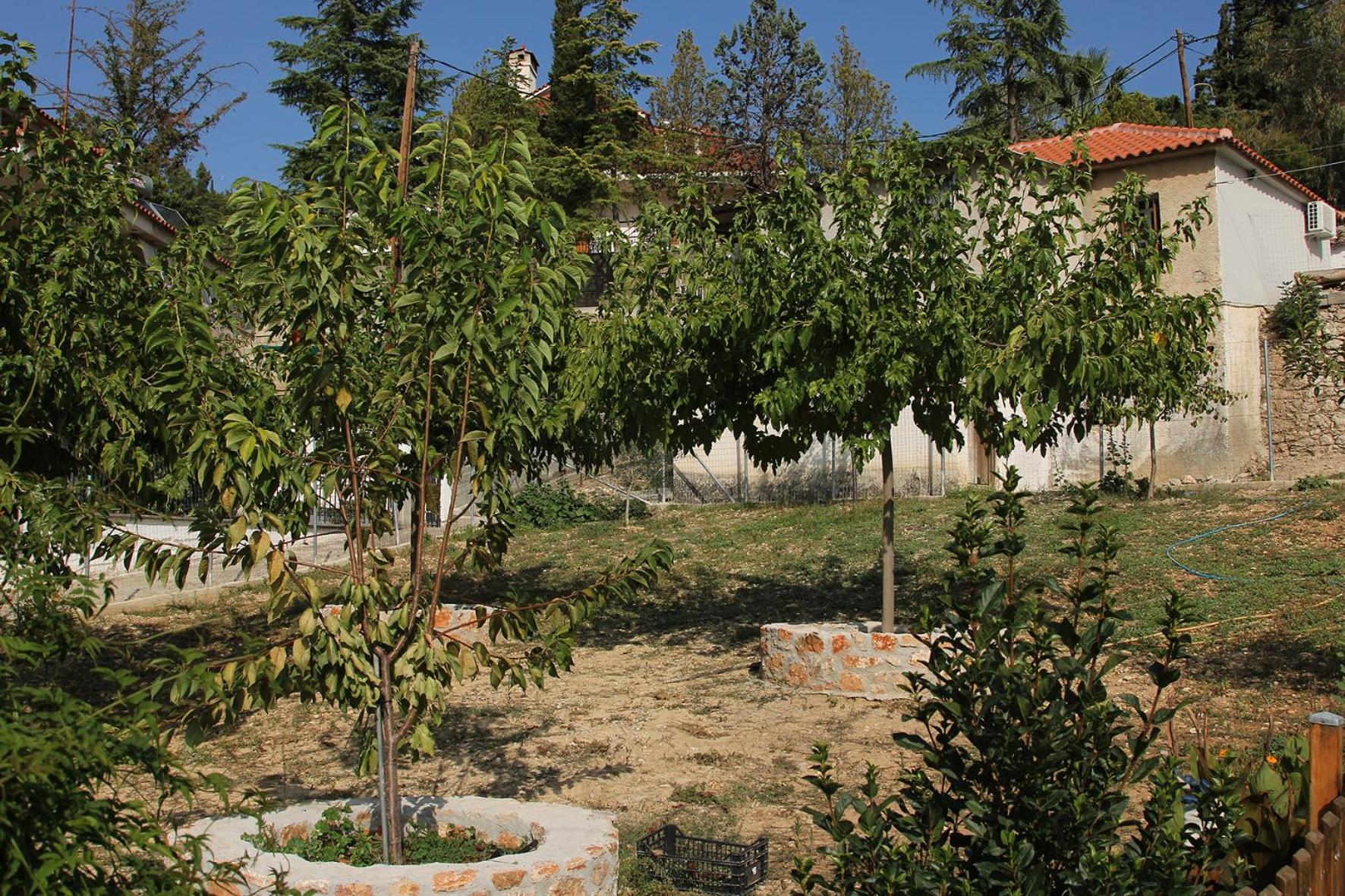 Vagelis Nemea apartments