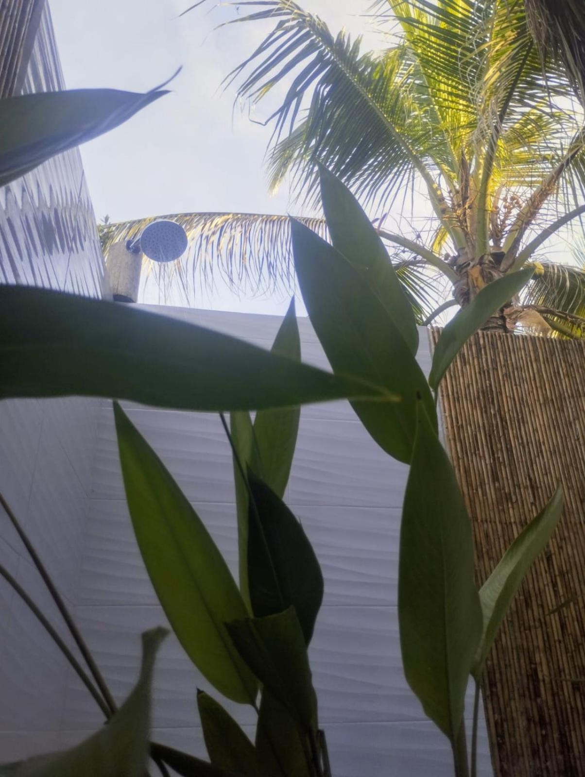 Eywa Lodge