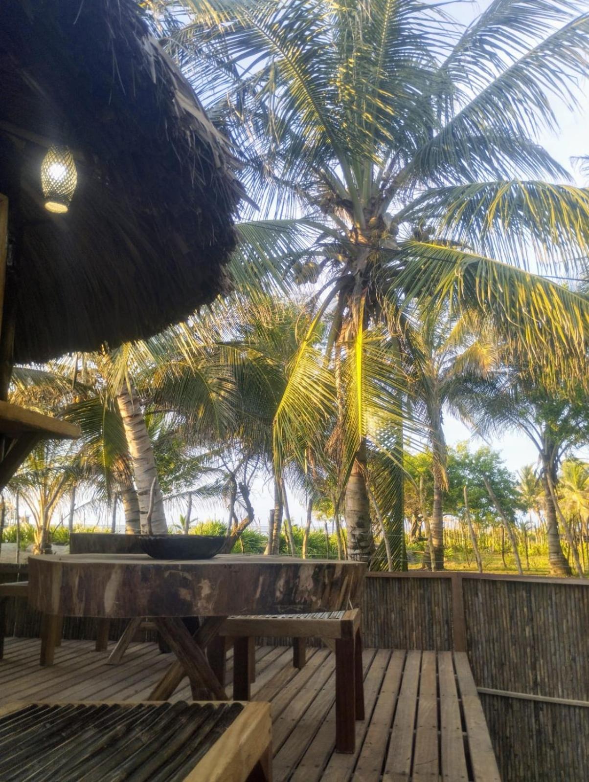 Eywa Lodge