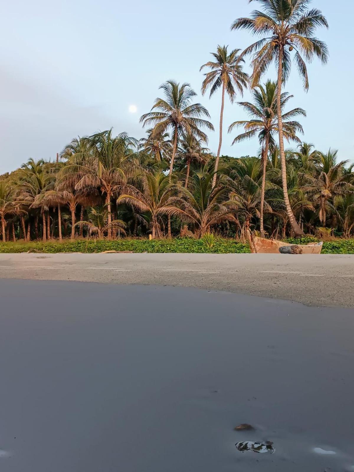 Eywa Lodge