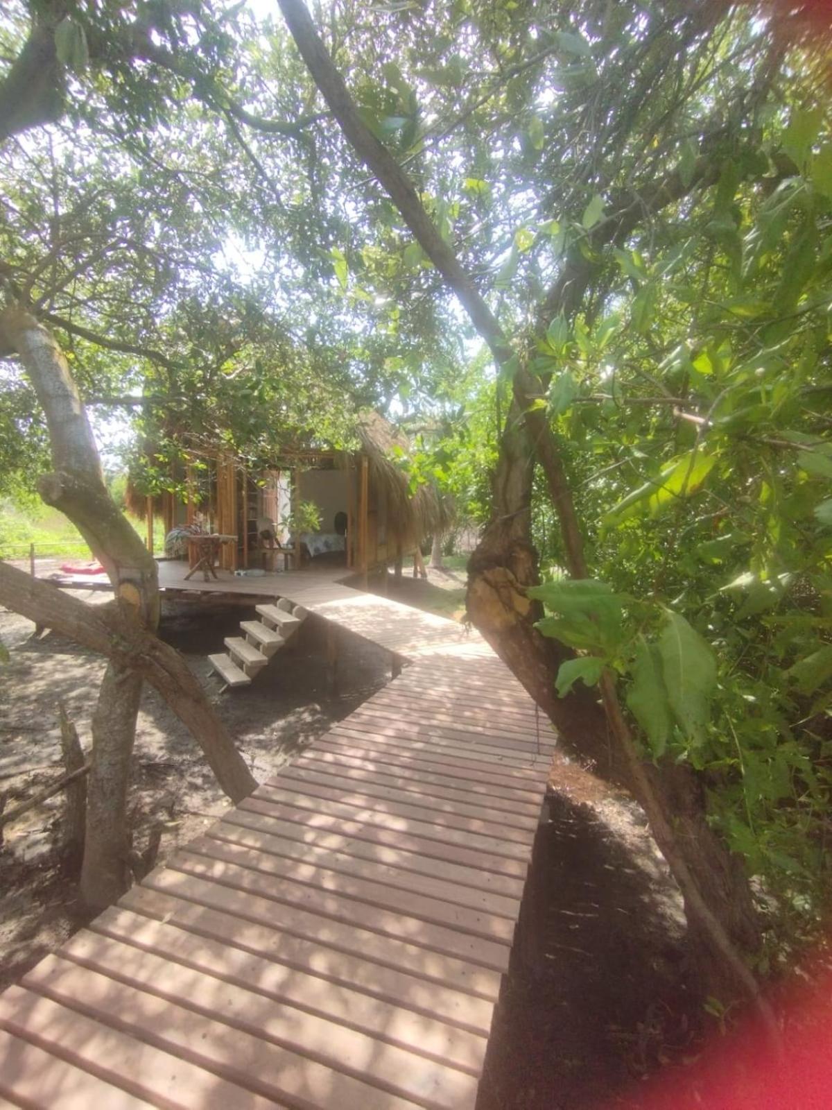 Eywa Lodge