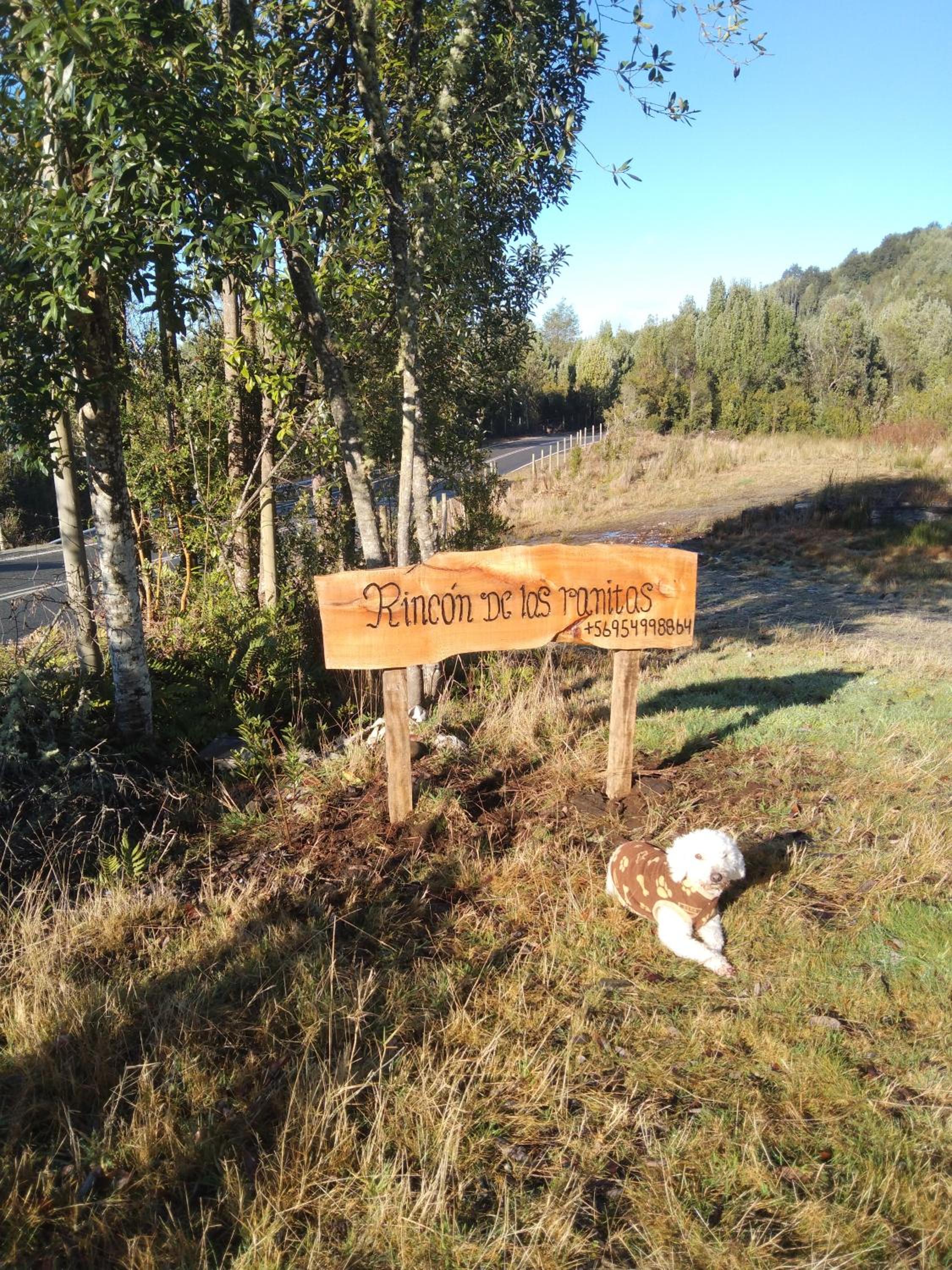 Rincón de las ranitas