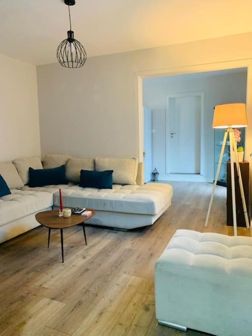 Spacious Villa Apartment in a Trendy Neighborhood
