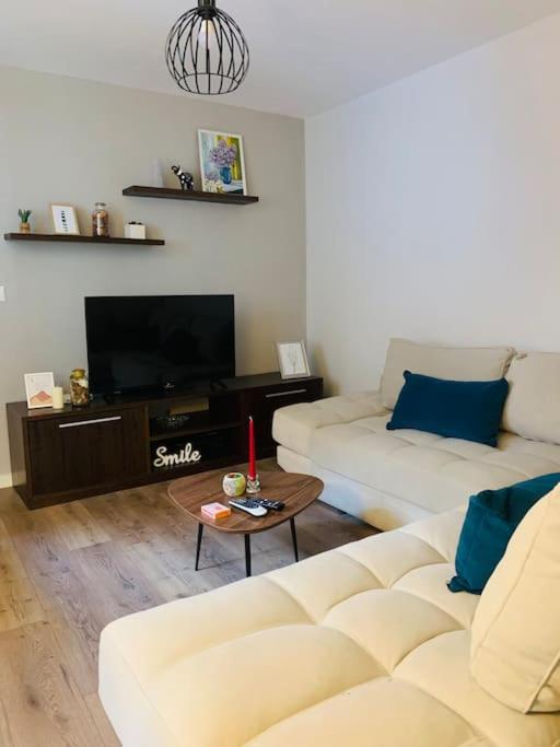 Spacious Villa Apartment in a Trendy Neighborhood