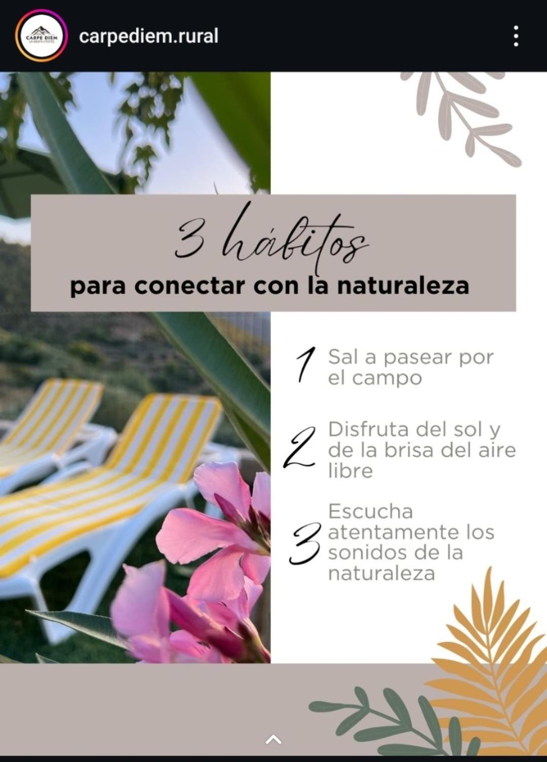 Casas Rurales Carpe Diem
