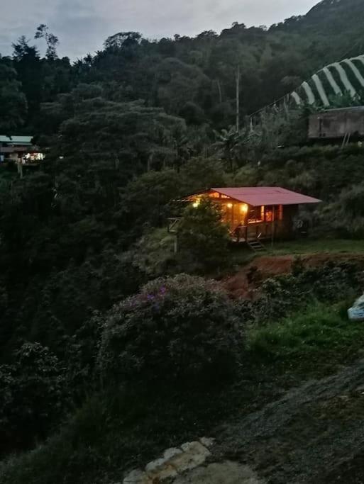 Incredible Colombian Coffee farm Finca Milena #2