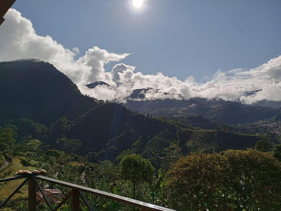 Incredible Colombian Coffee farm Finca Milena #2
