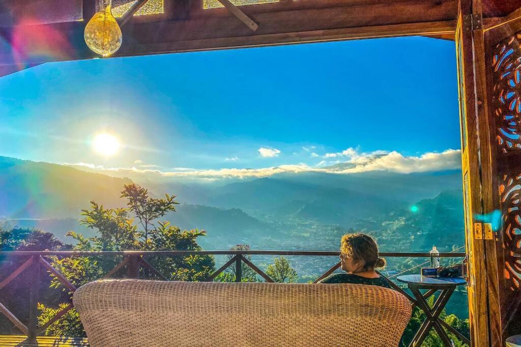 Incredible Colombian Coffee farm Finca Milena #2