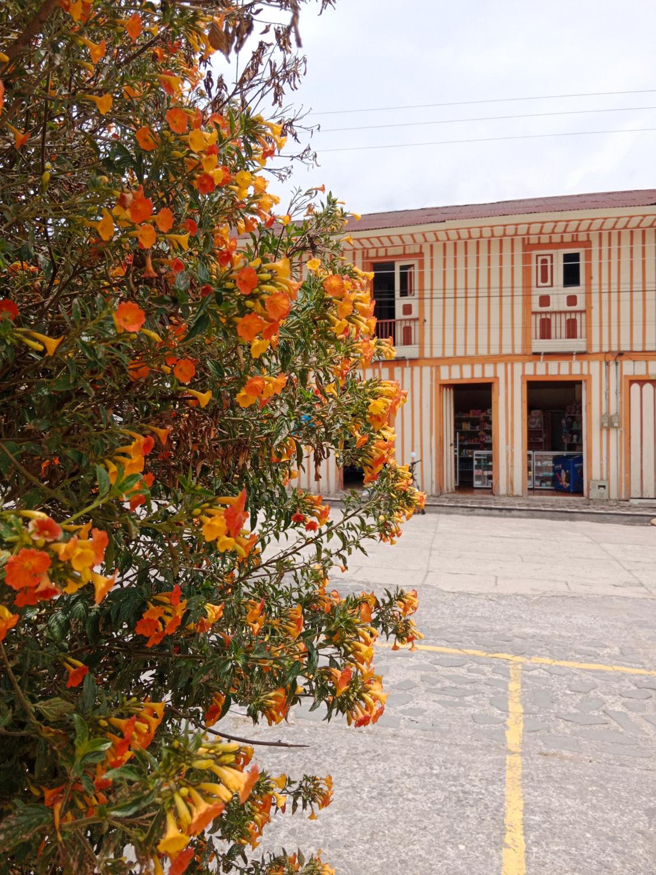 Hostal Casa Celeste