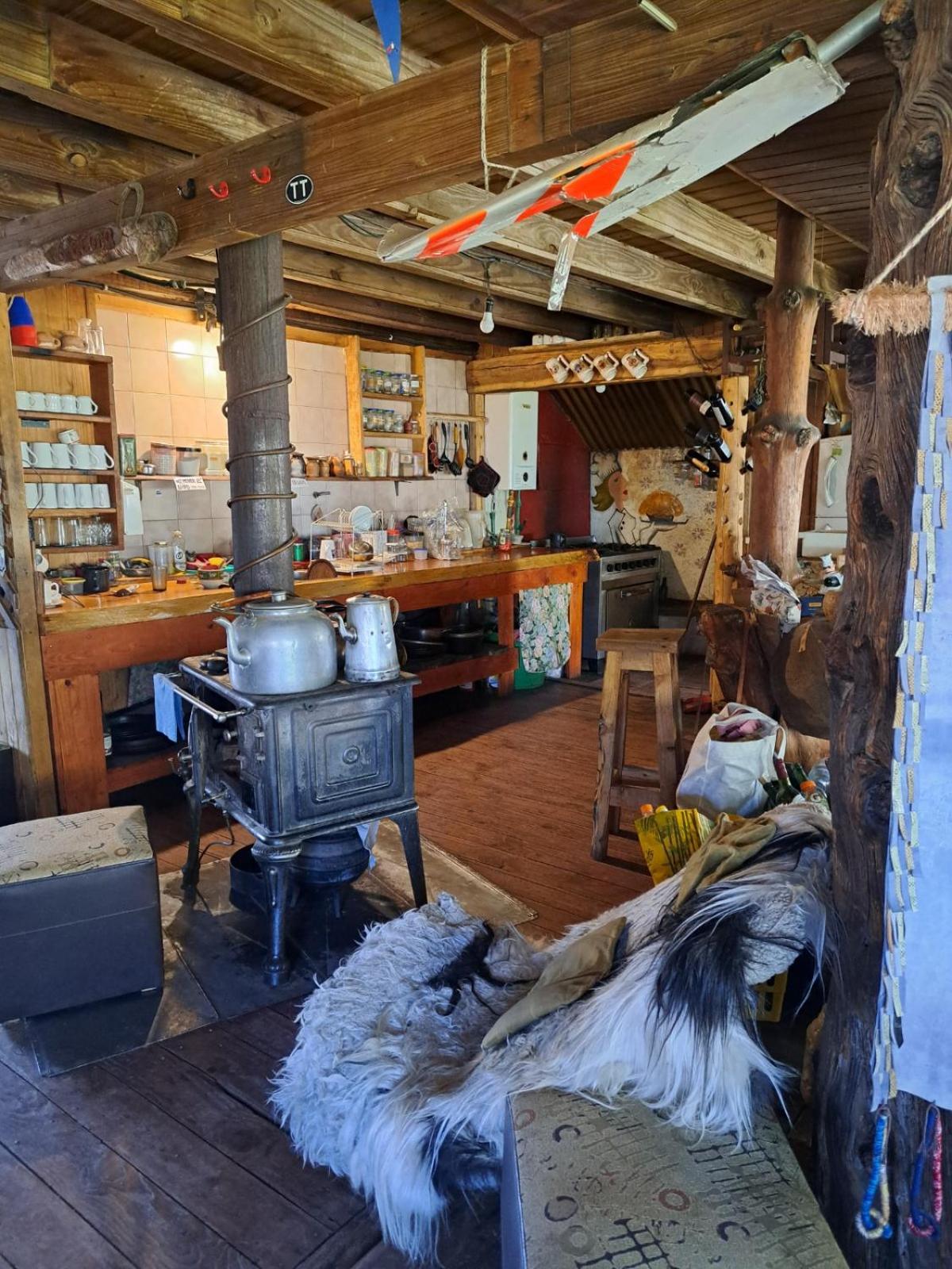 el refugio de caniche