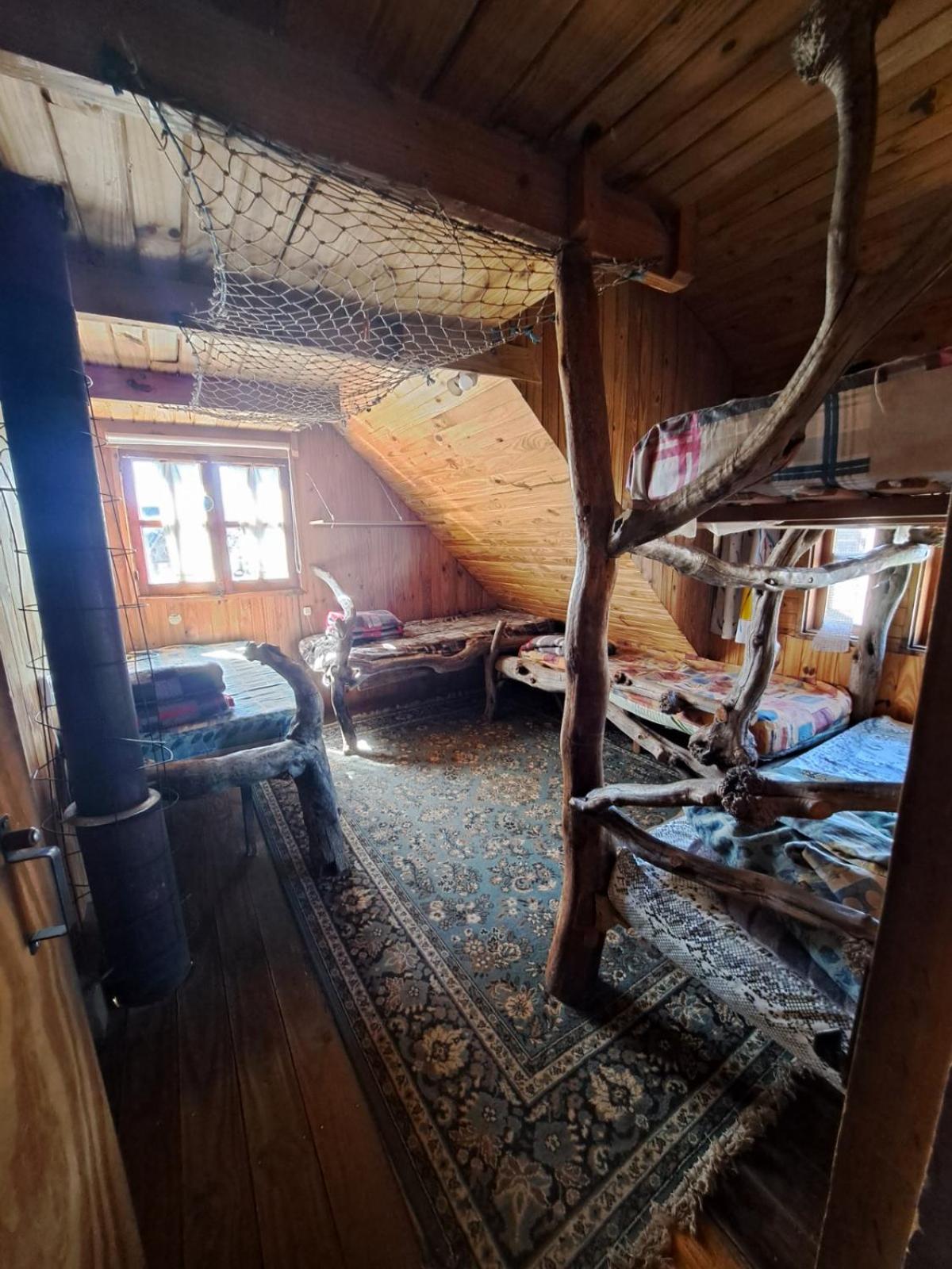 el refugio de caniche
