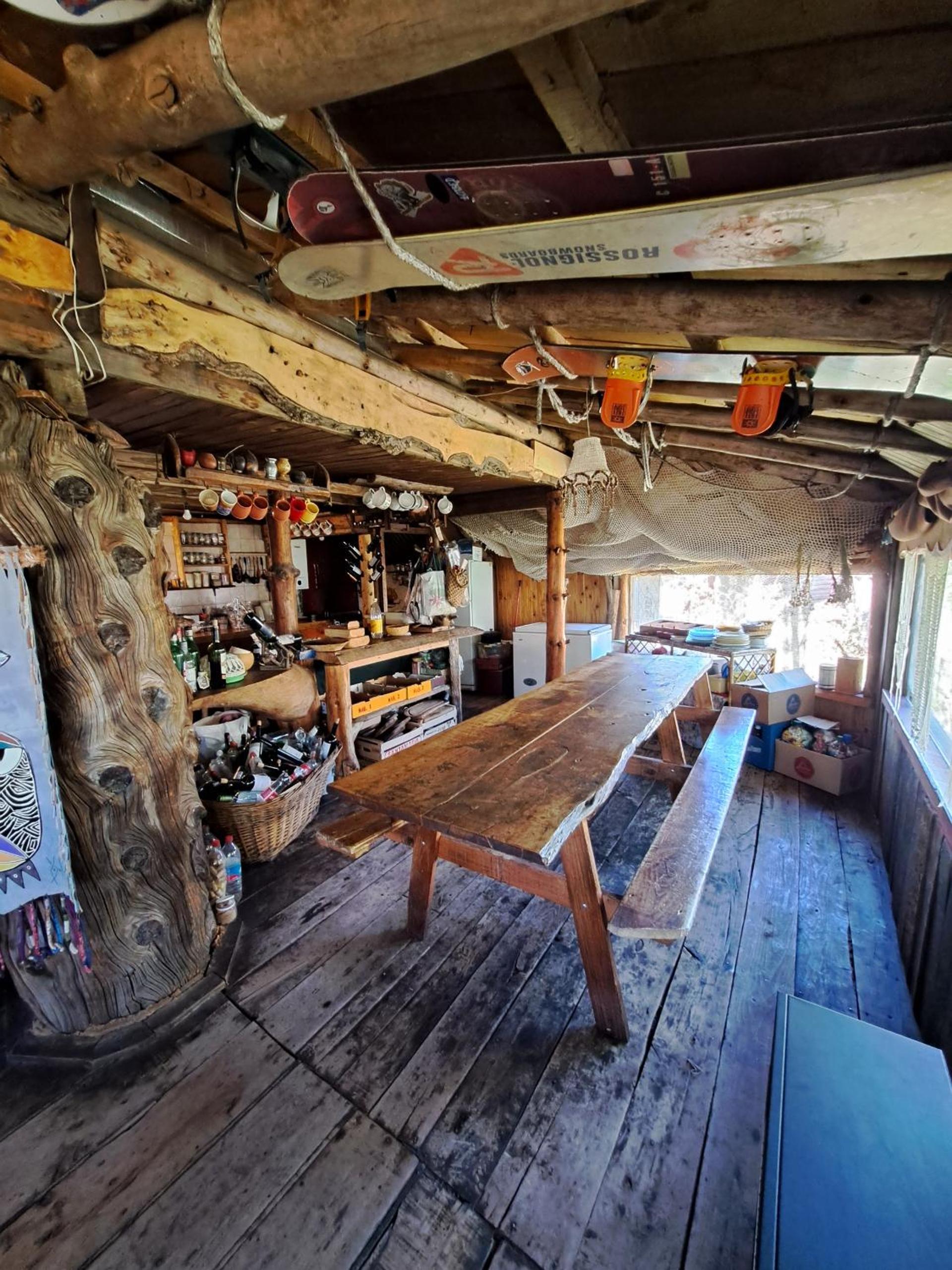 el refugio de caniche