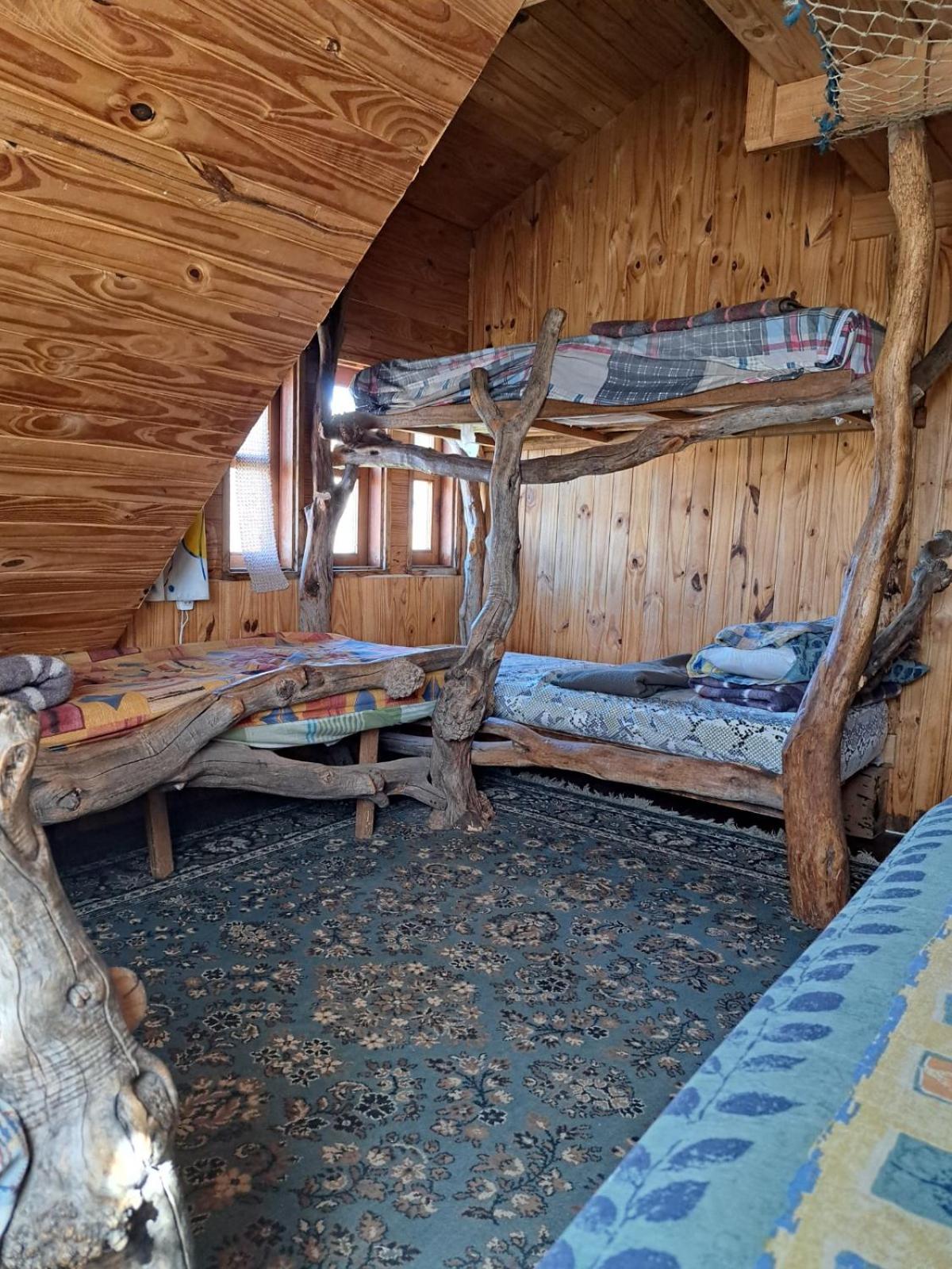 el refugio de caniche
