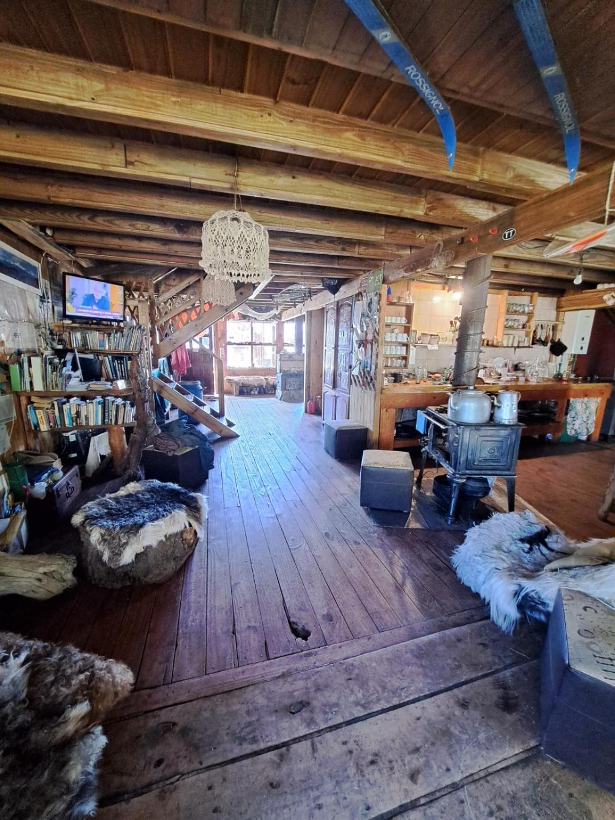 el refugio de caniche