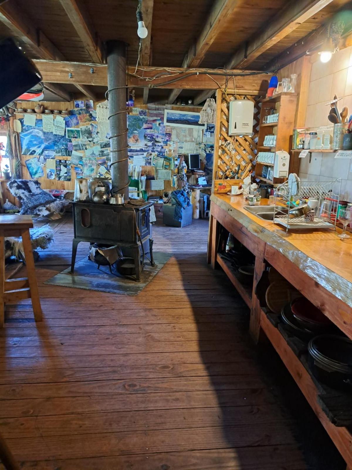 el refugio de caniche