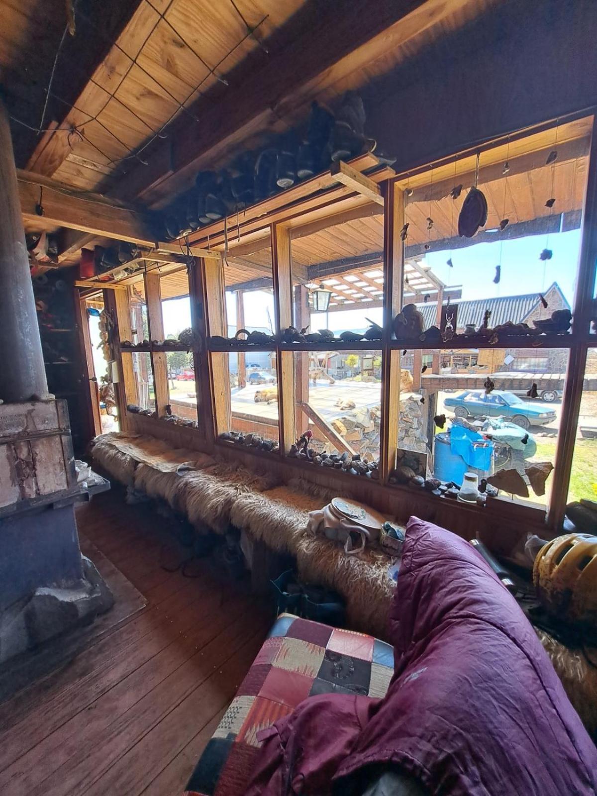 el refugio de caniche