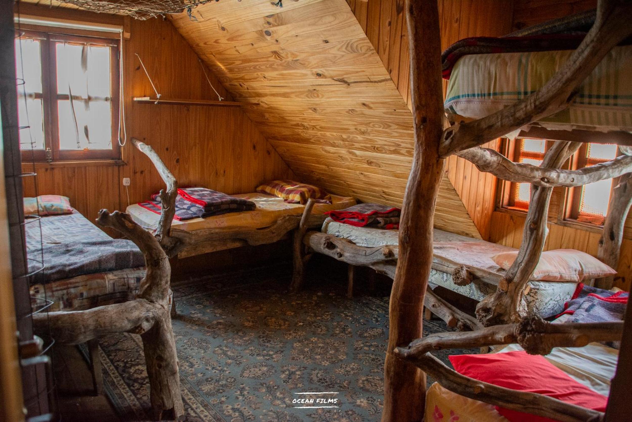 el refugio de caniche